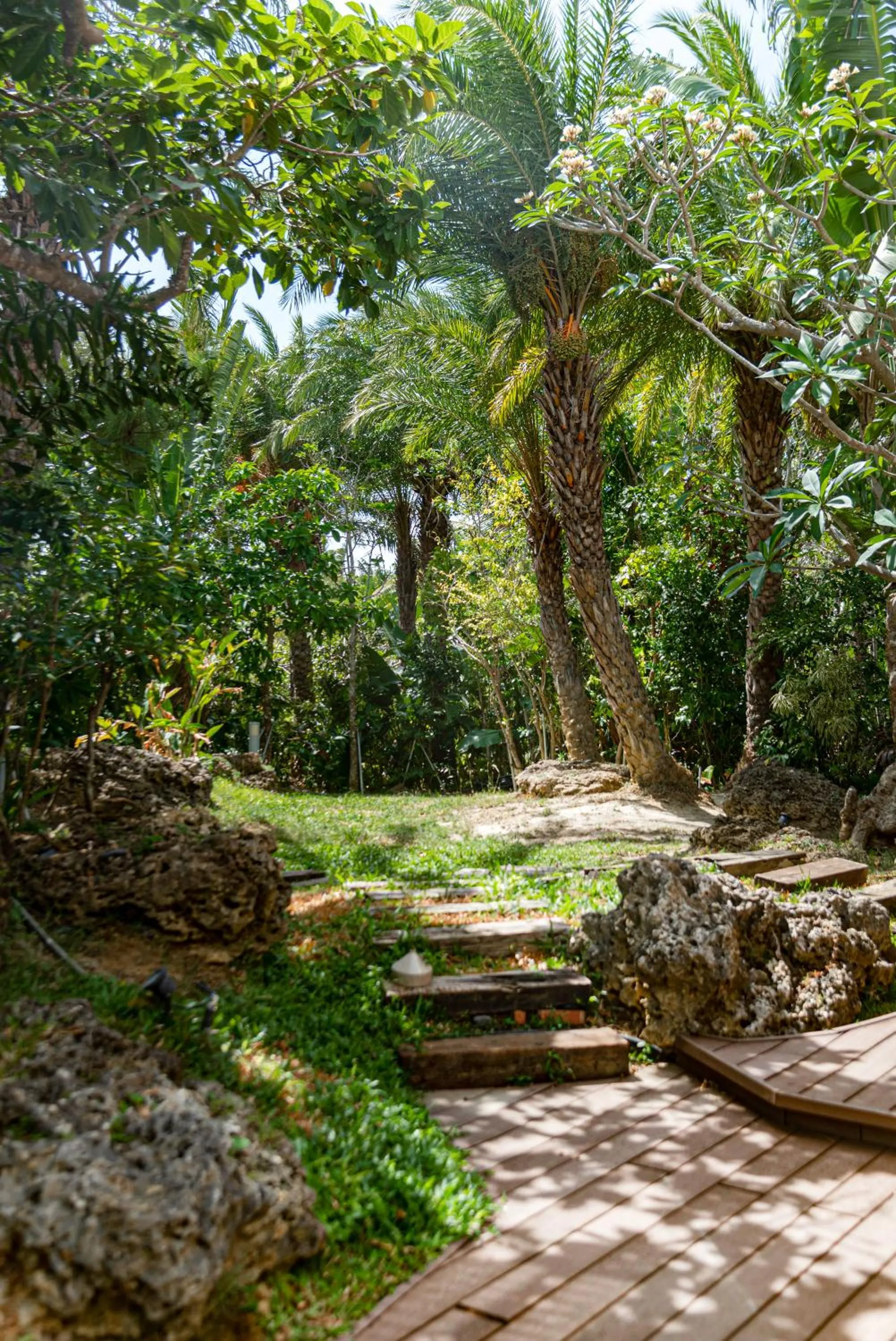 Garden in The House 15 Villa