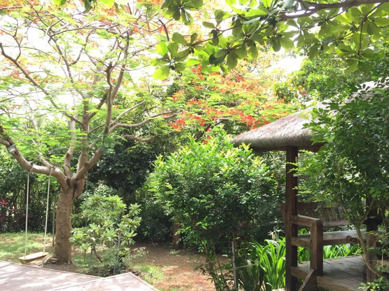 Garden in The House 15 Villa