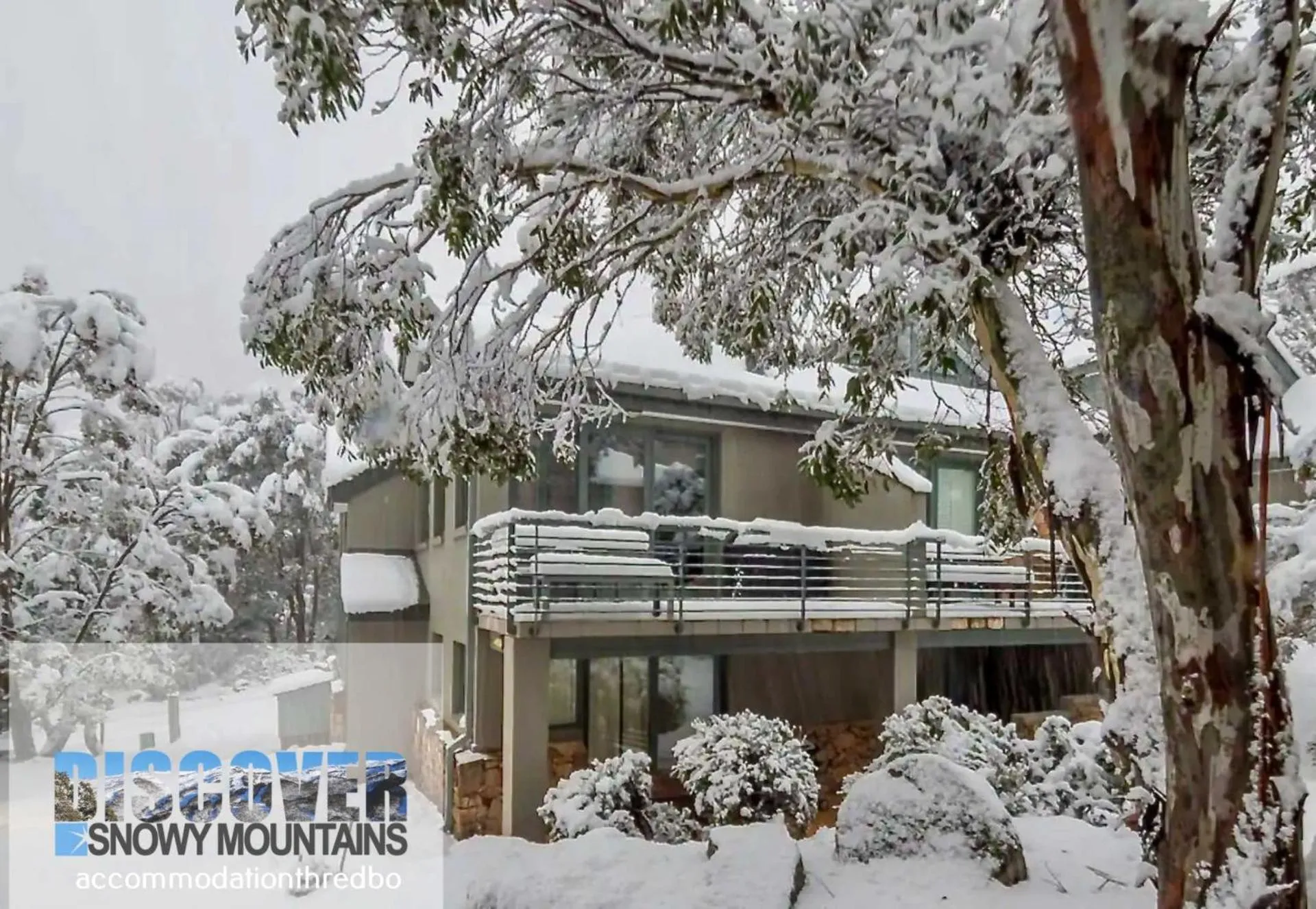 Property building in Wintergreen 3 - Thredbo