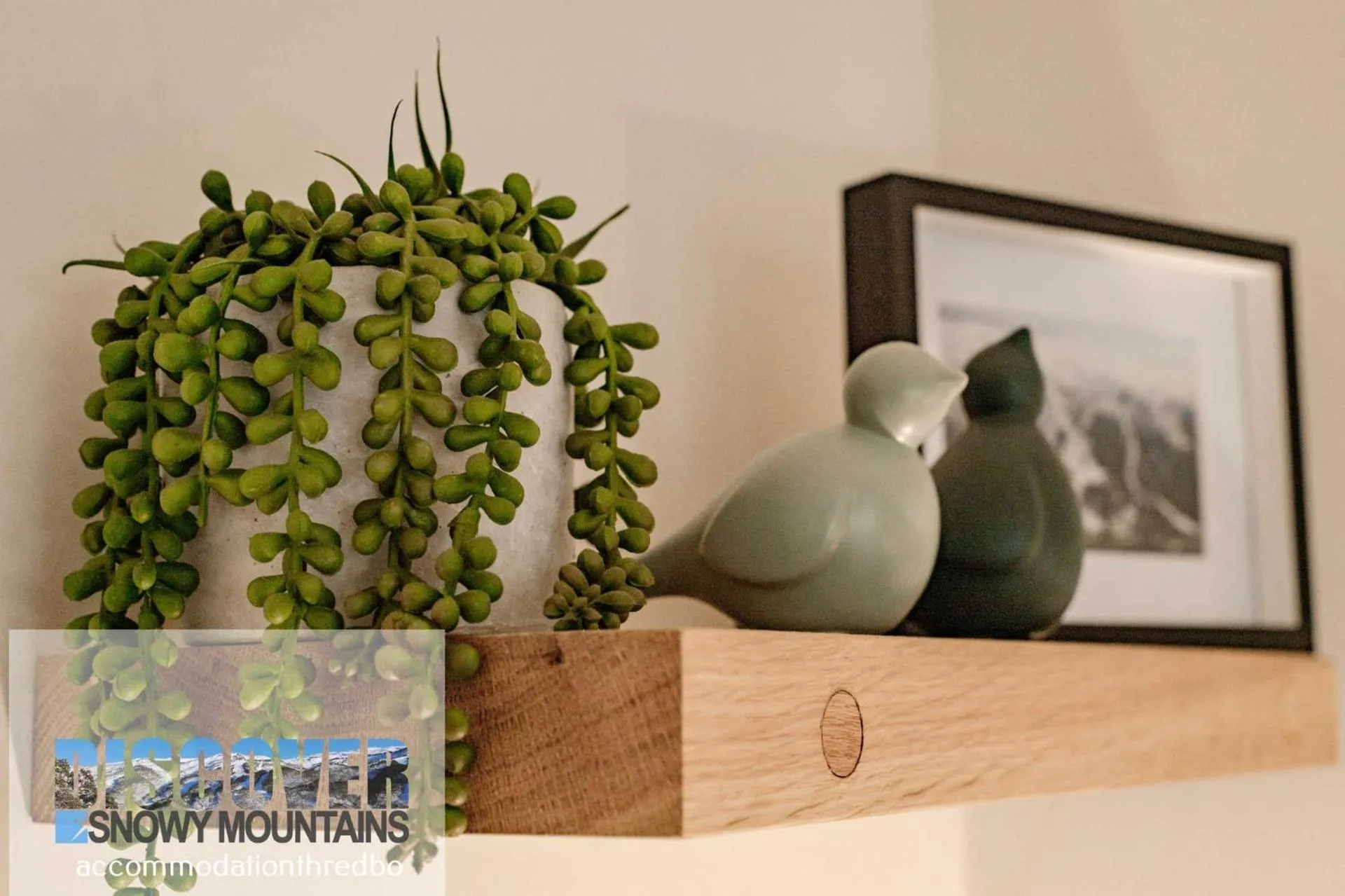 Decorative detail in Wintergreen 3 - Thredbo