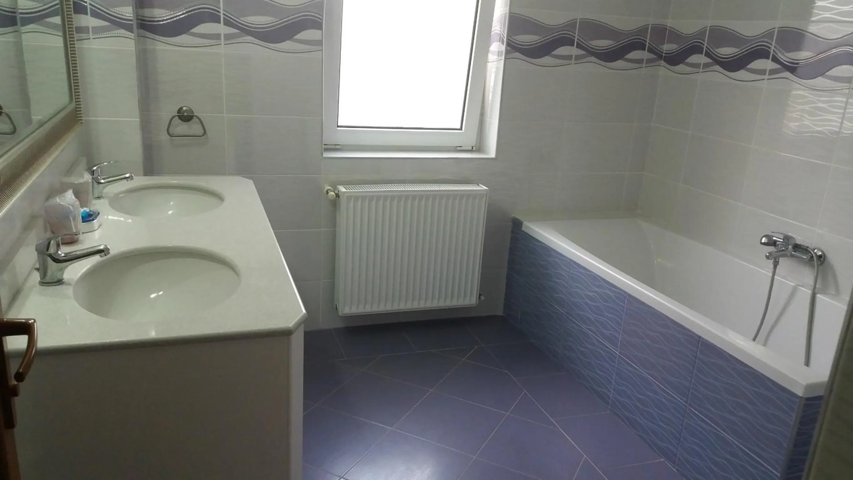 Bathroom in Hotel Monteoru