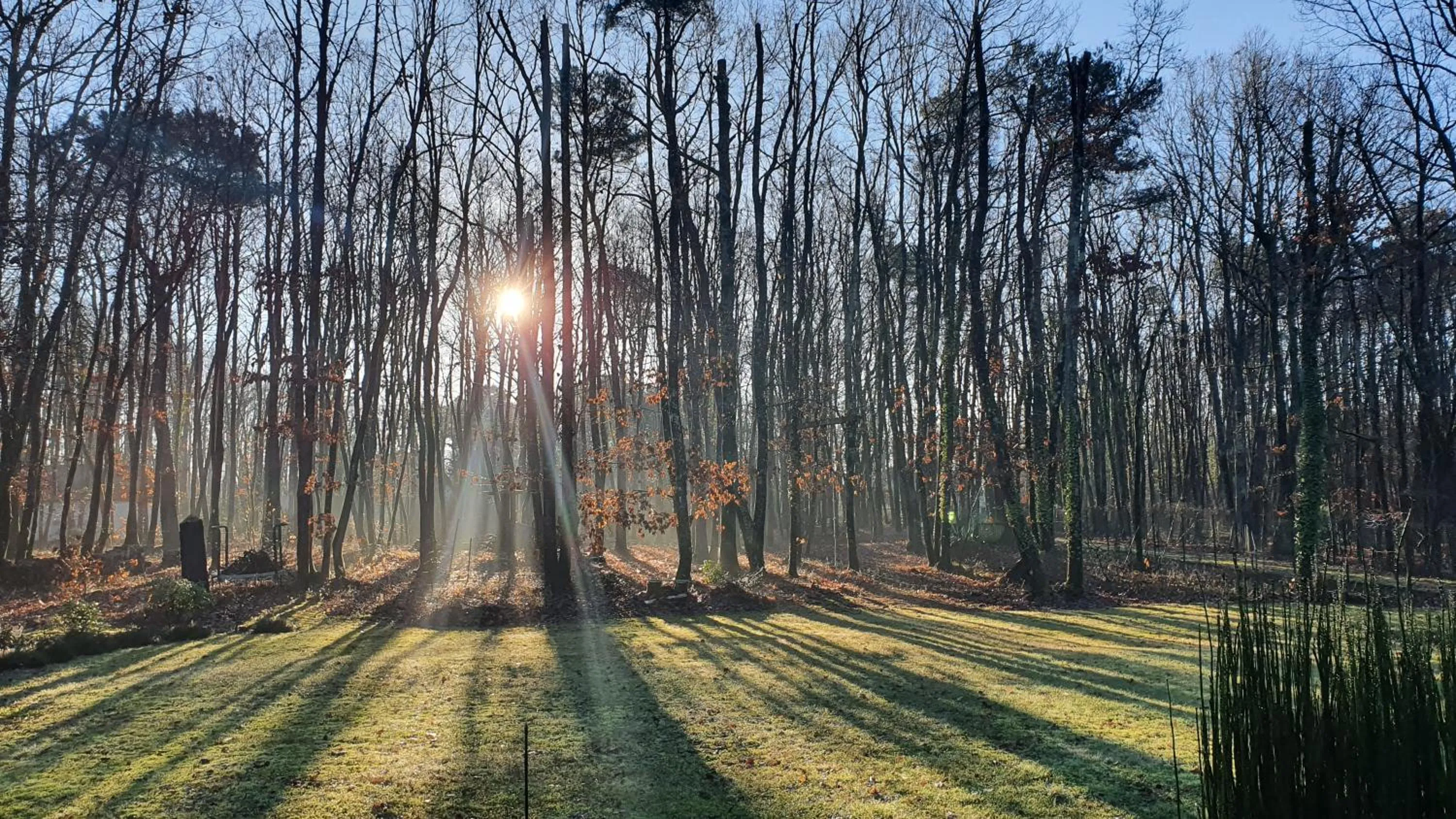 Winter in Logis Saponine Chambres d'Hôtes au calme en Touraine
