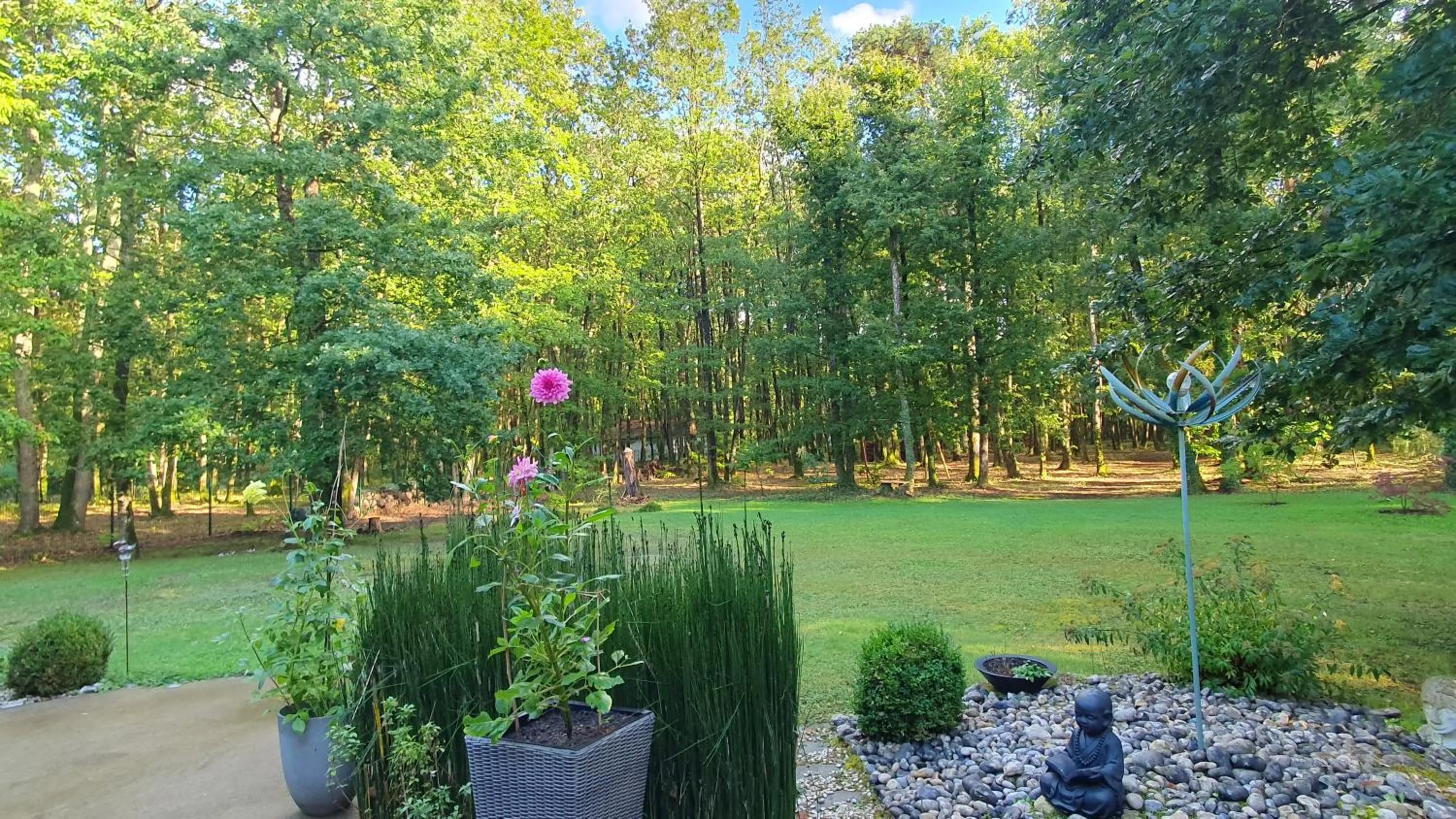 Summer in Logis Saponine Chambres d'Hôtes au calme en Touraine