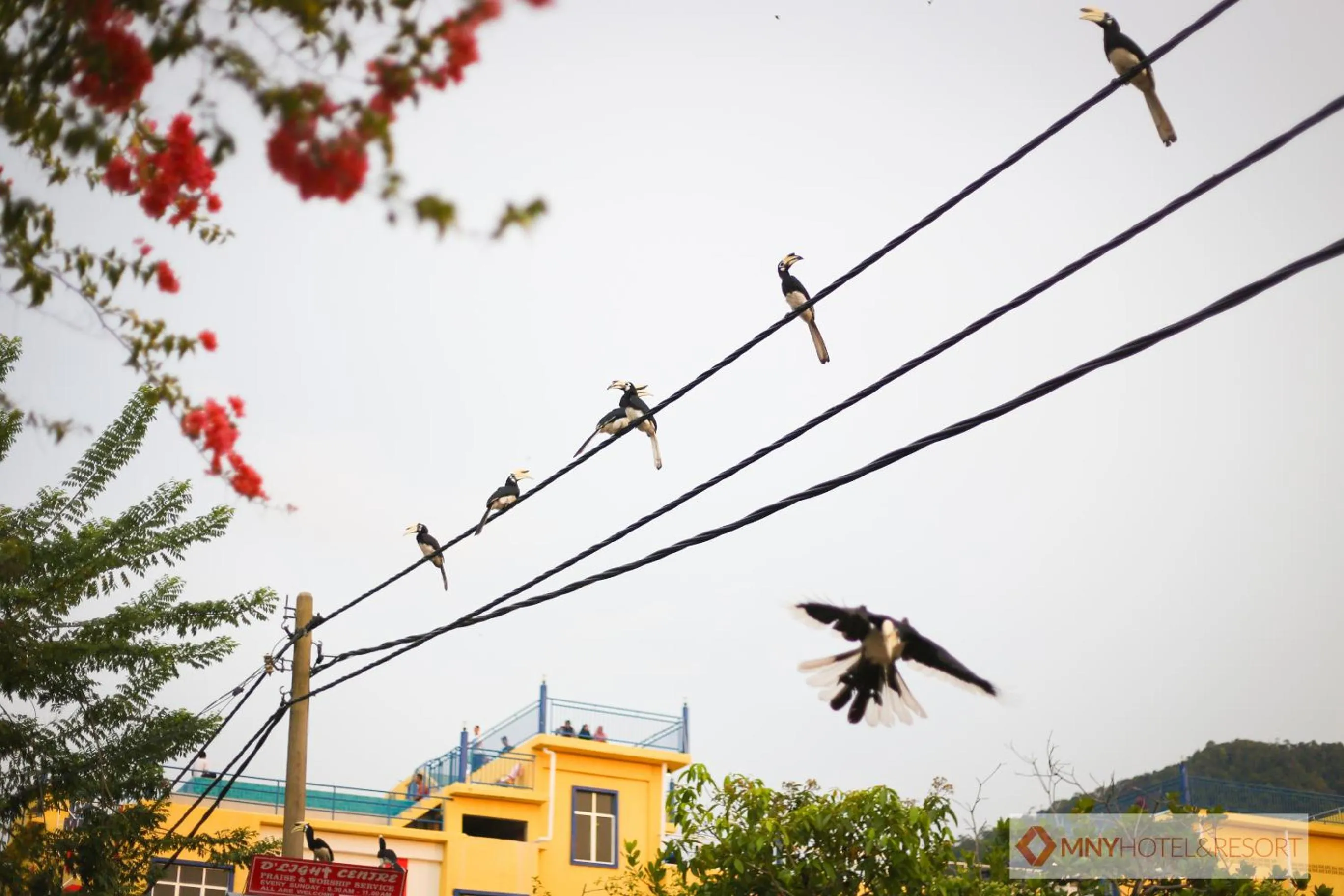 Other in MNY Hotel & Resort