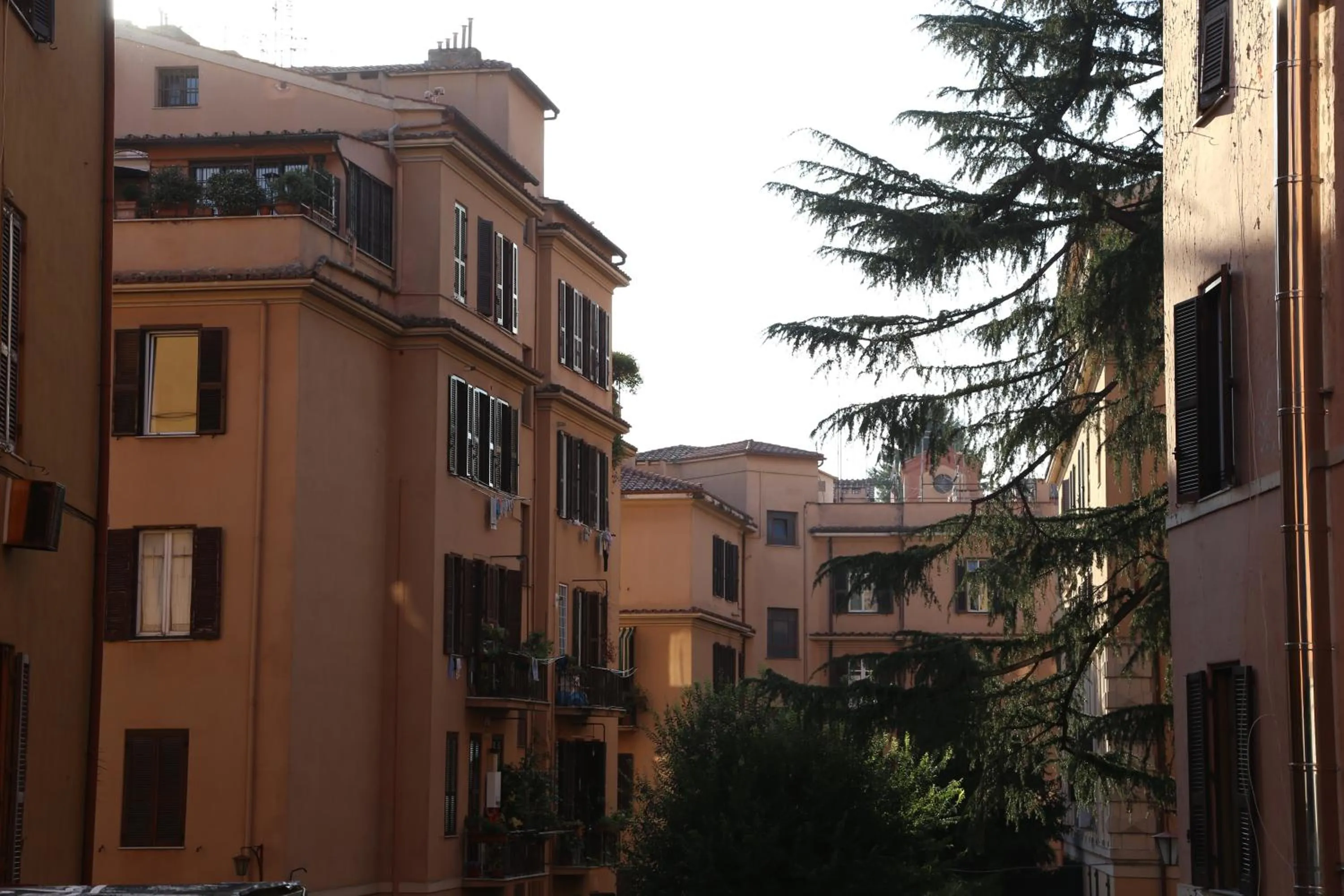 Property building in Dhome B&B