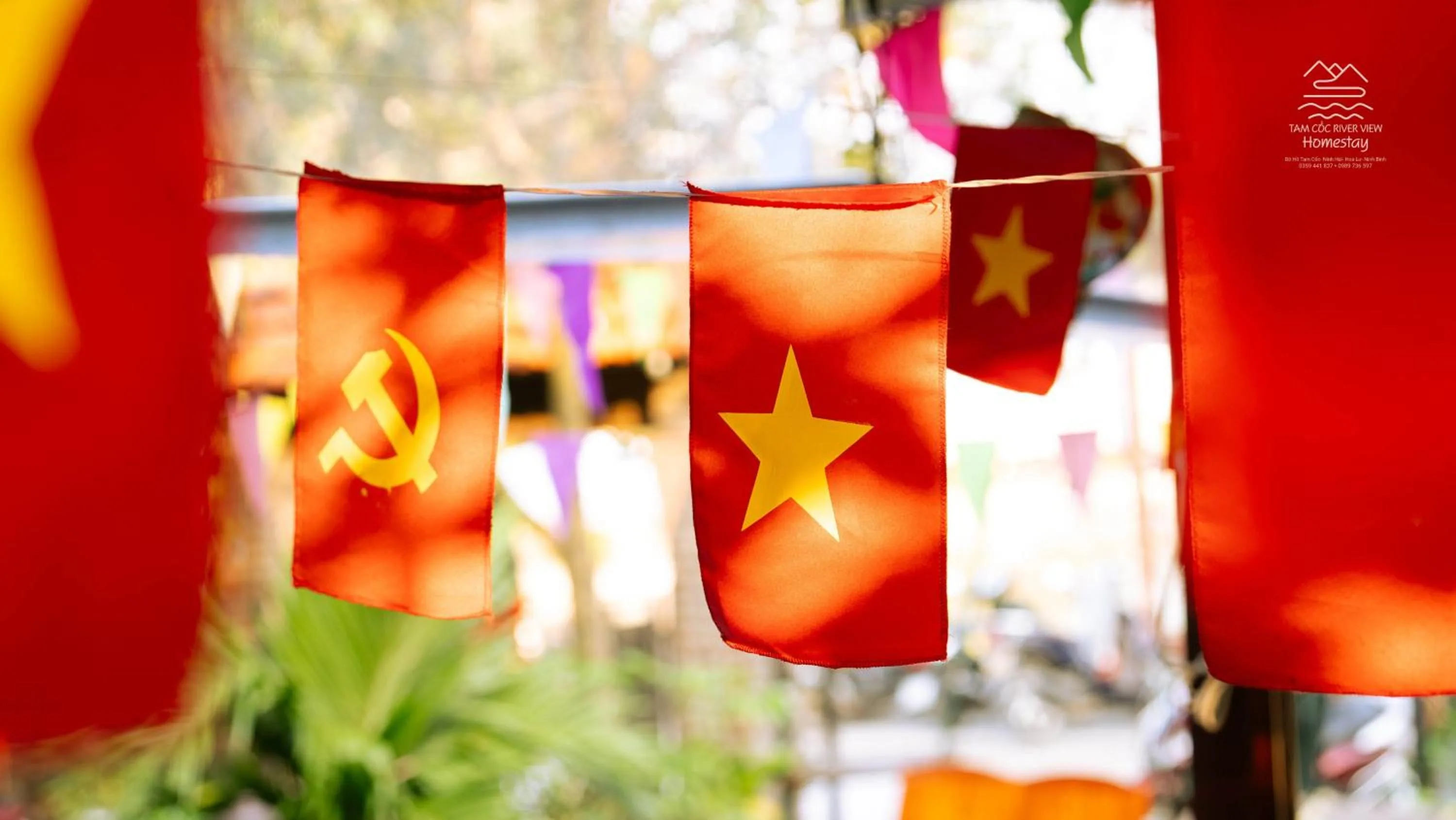 Tam Coc River View Homestay