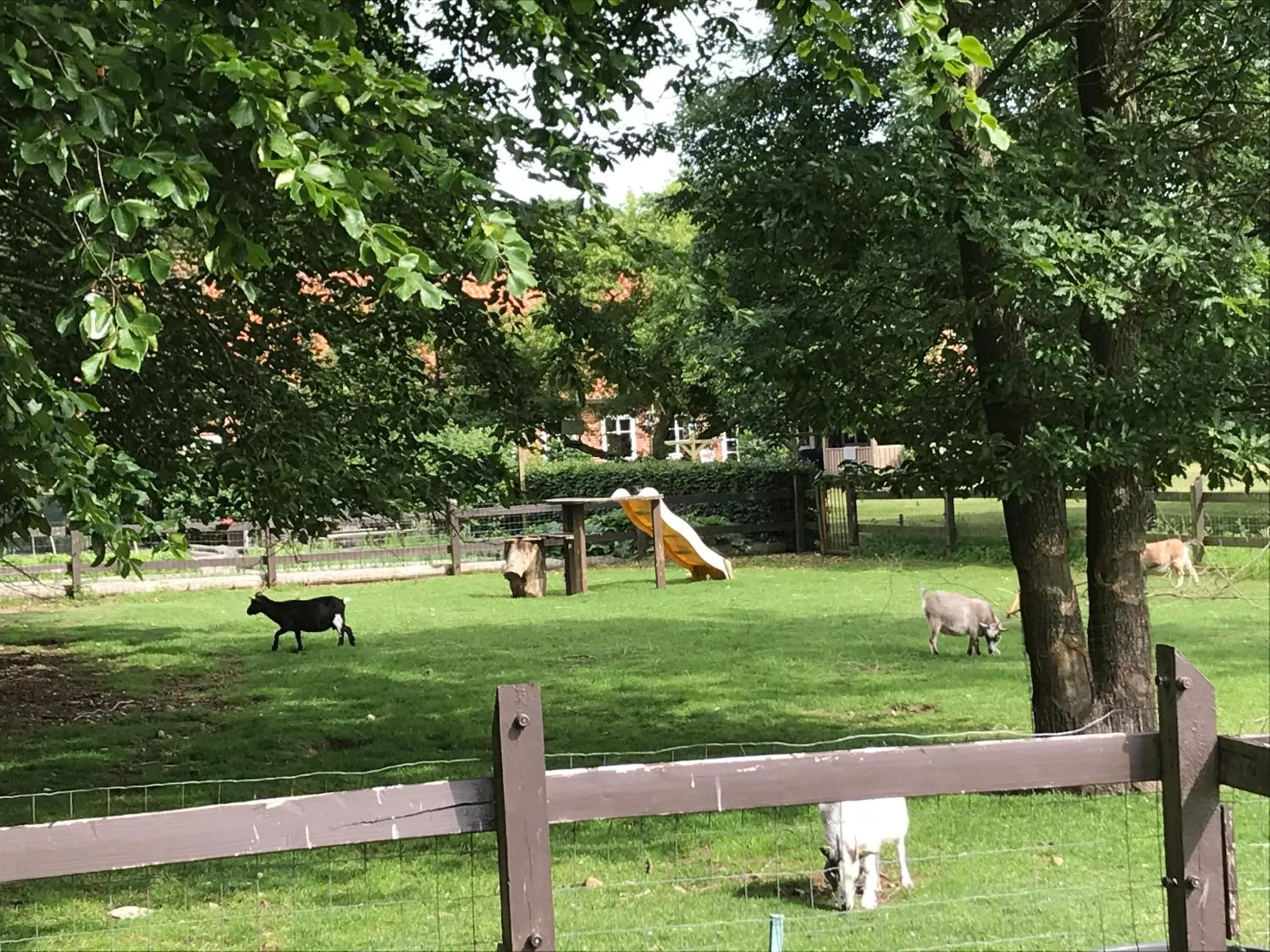 Familiehuis Boysen Appartementen