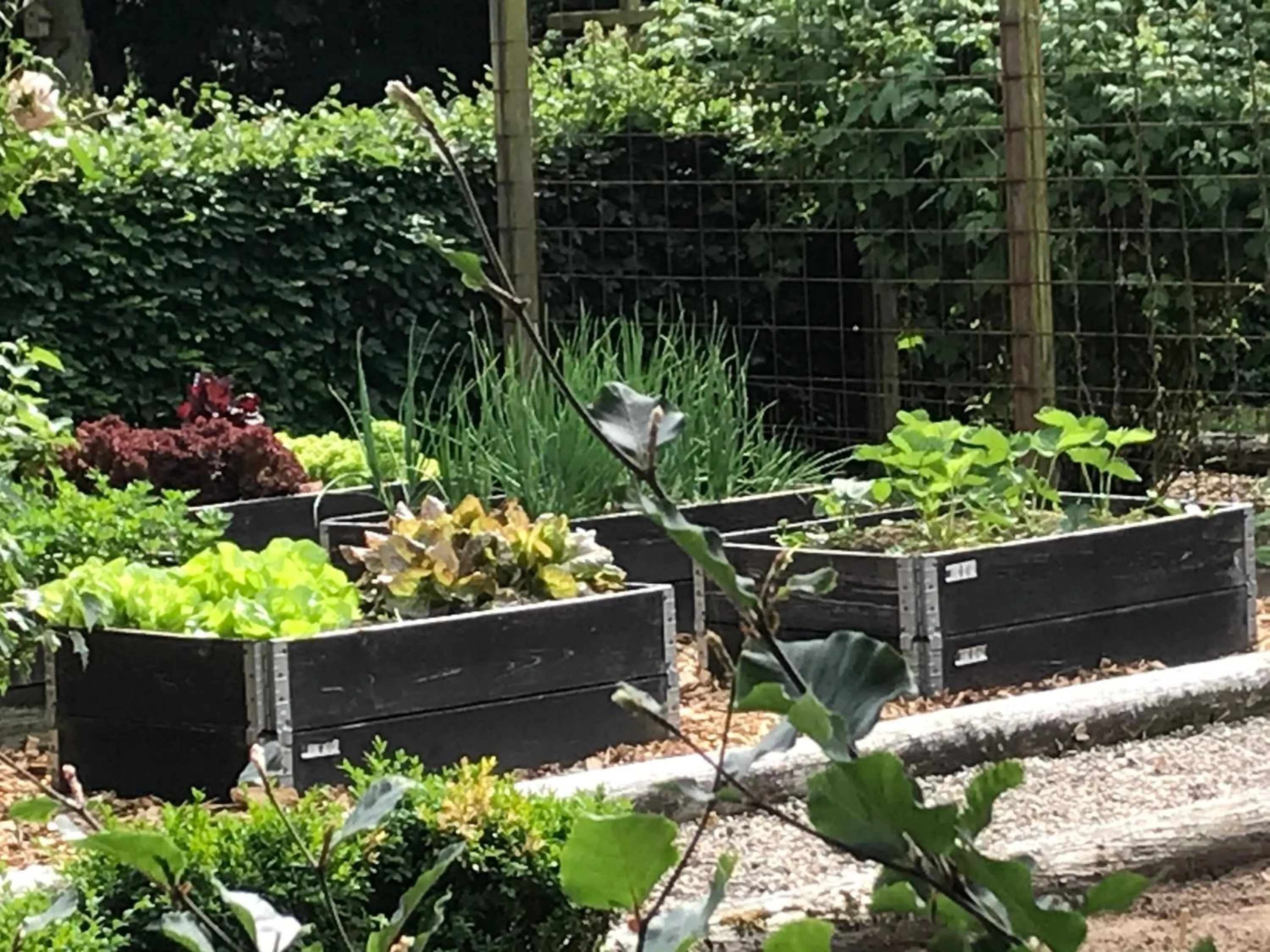 Garden in Familiehuis Boysen Appartementen
