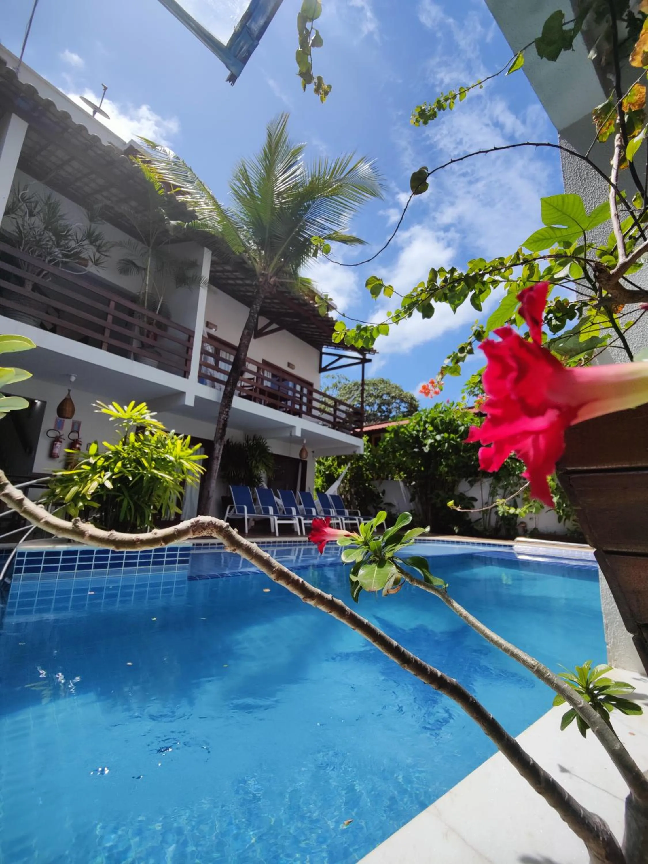 Garden in Pousada Waikiki Boutique
