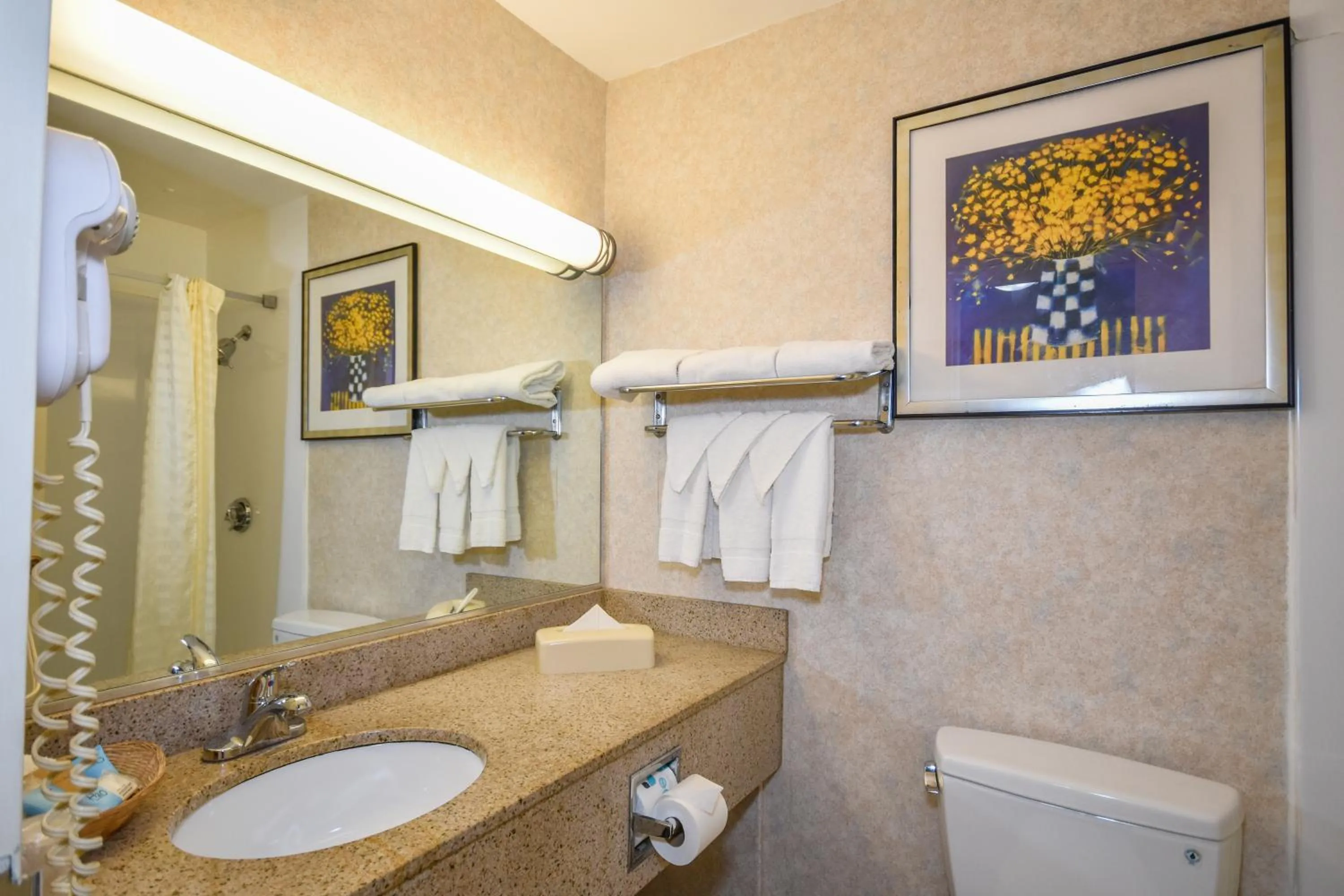 Bathroom in Charles River Inn