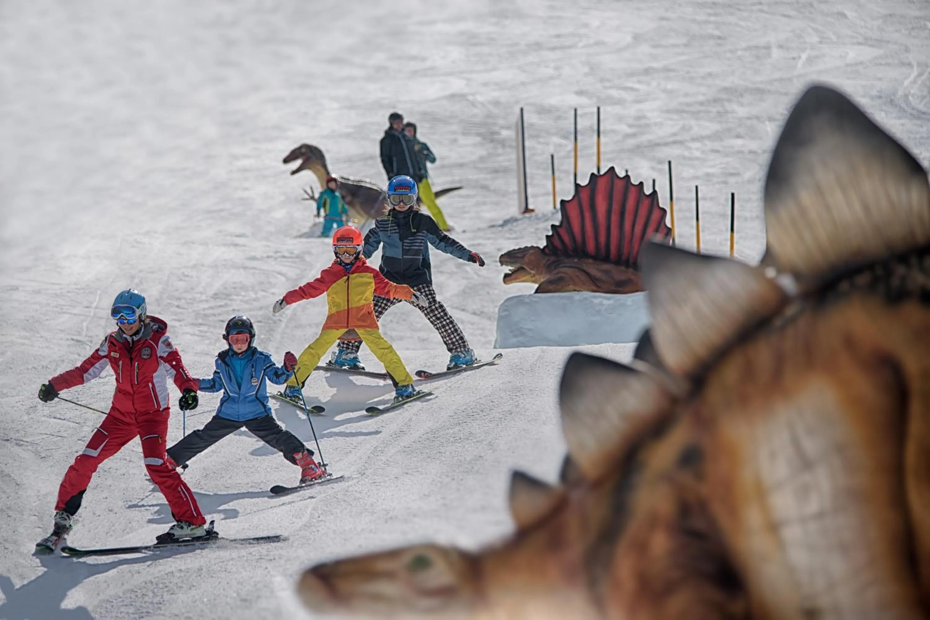 Activities in Hotel Adler