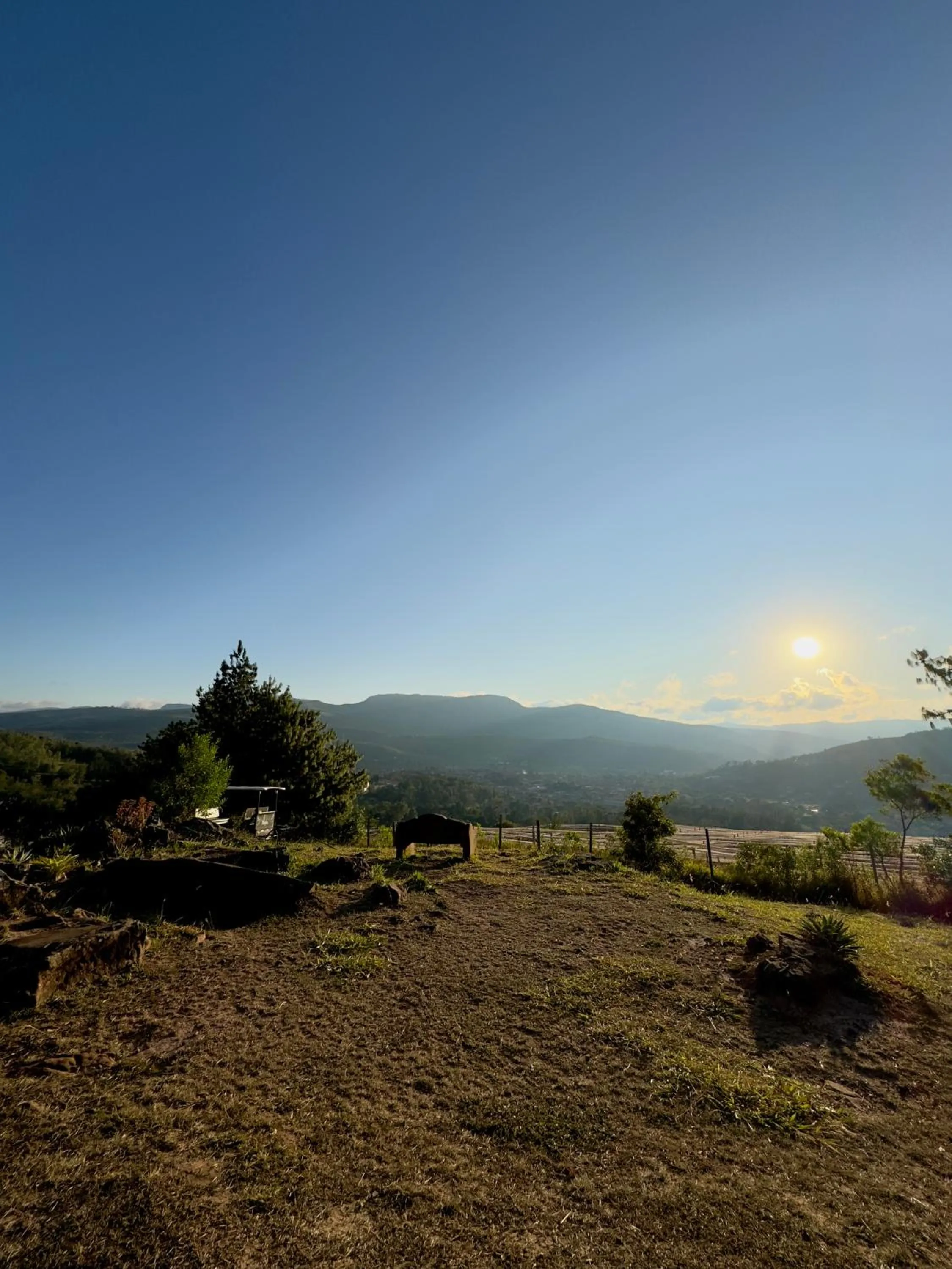 Garden in El Pueblito Hotel Boutique