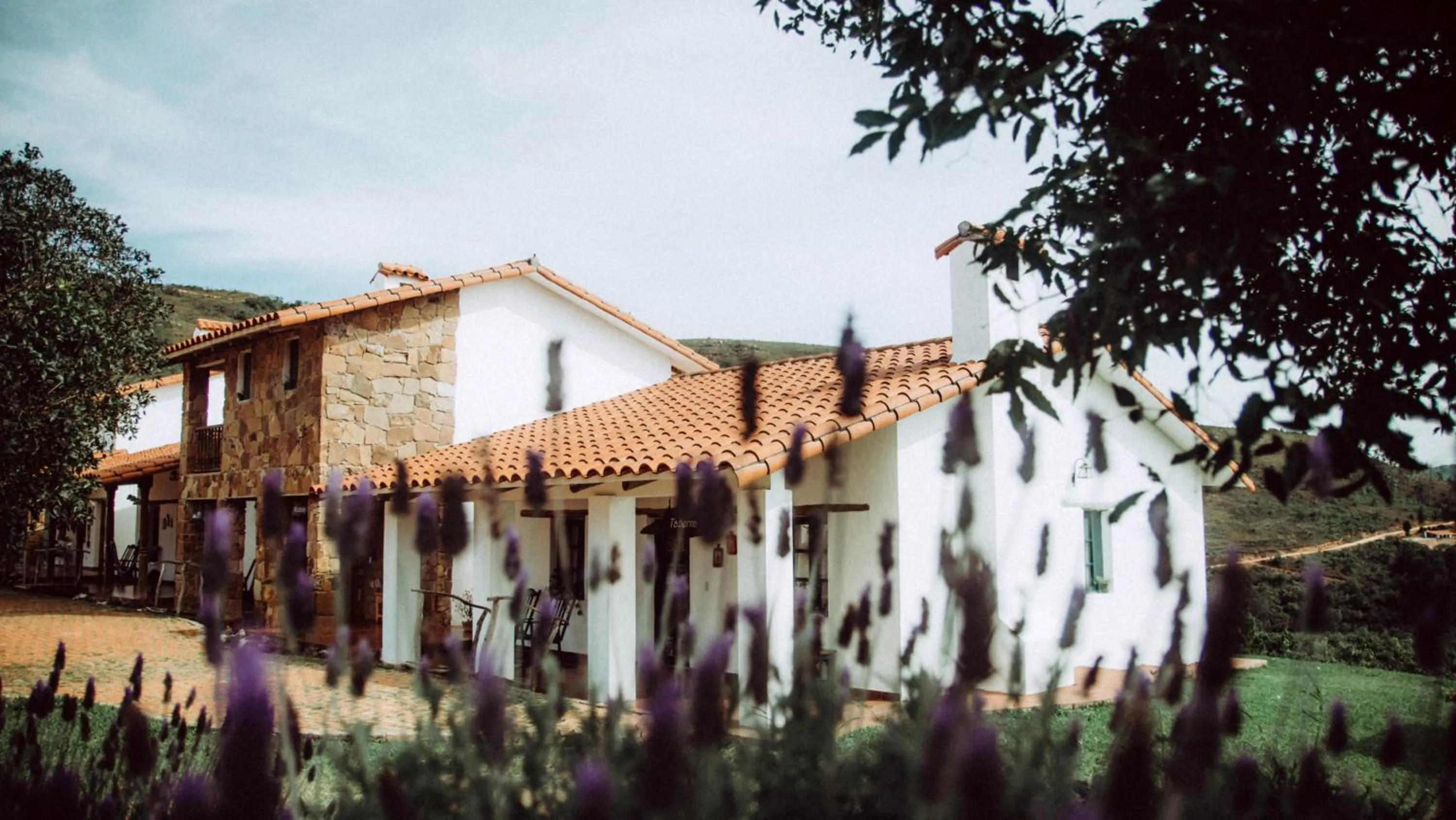Patio in El Pueblito Hotel Boutique
