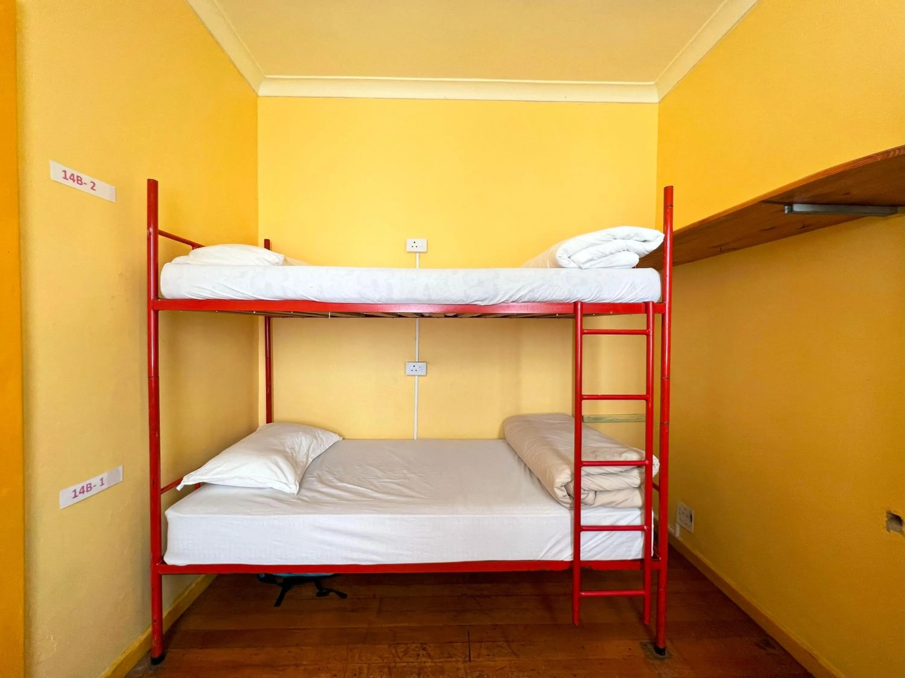 bunk bed, Bed in Long Street Backpackers