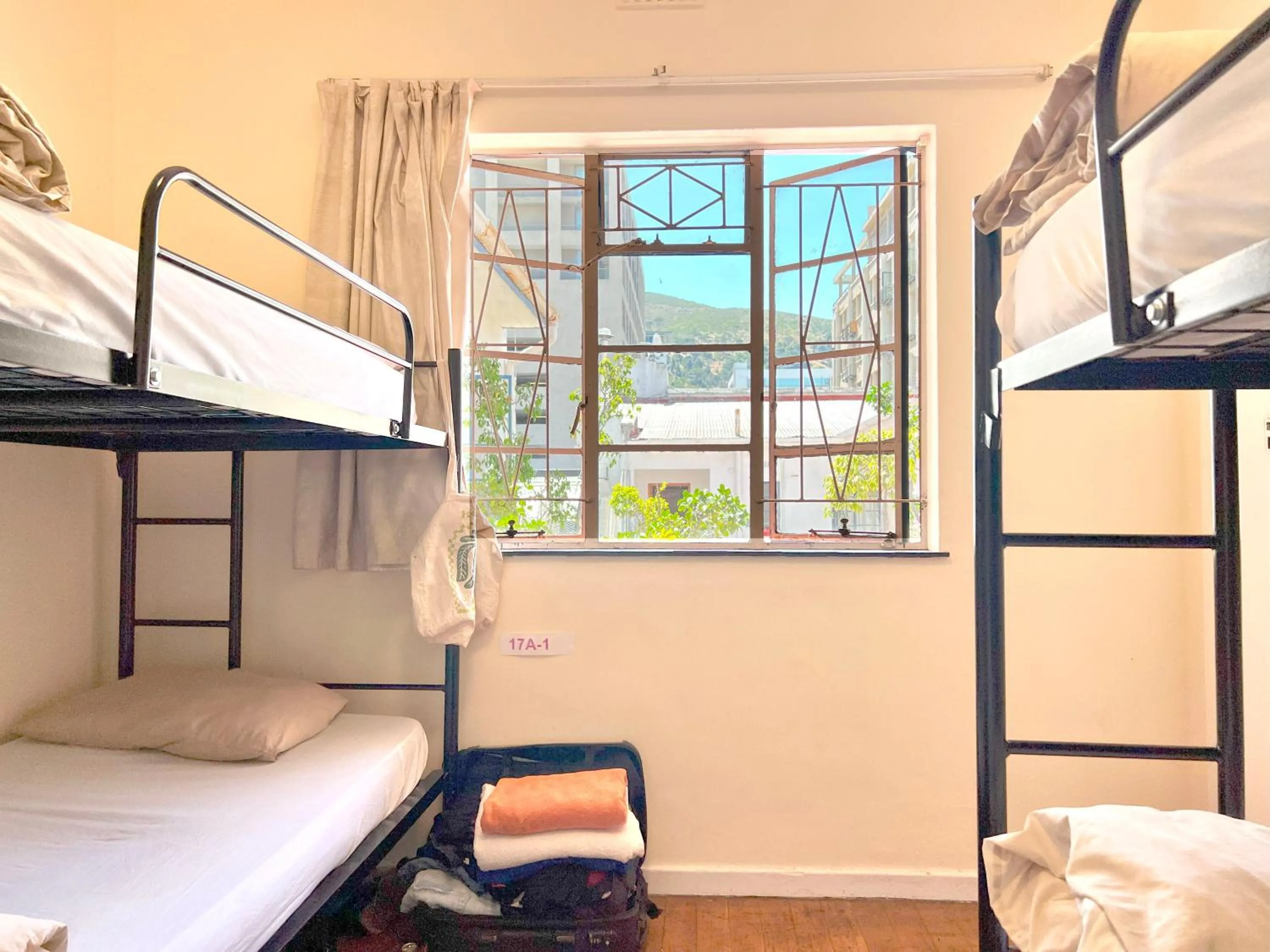 bunk bed, Bed in Long Street Backpackers