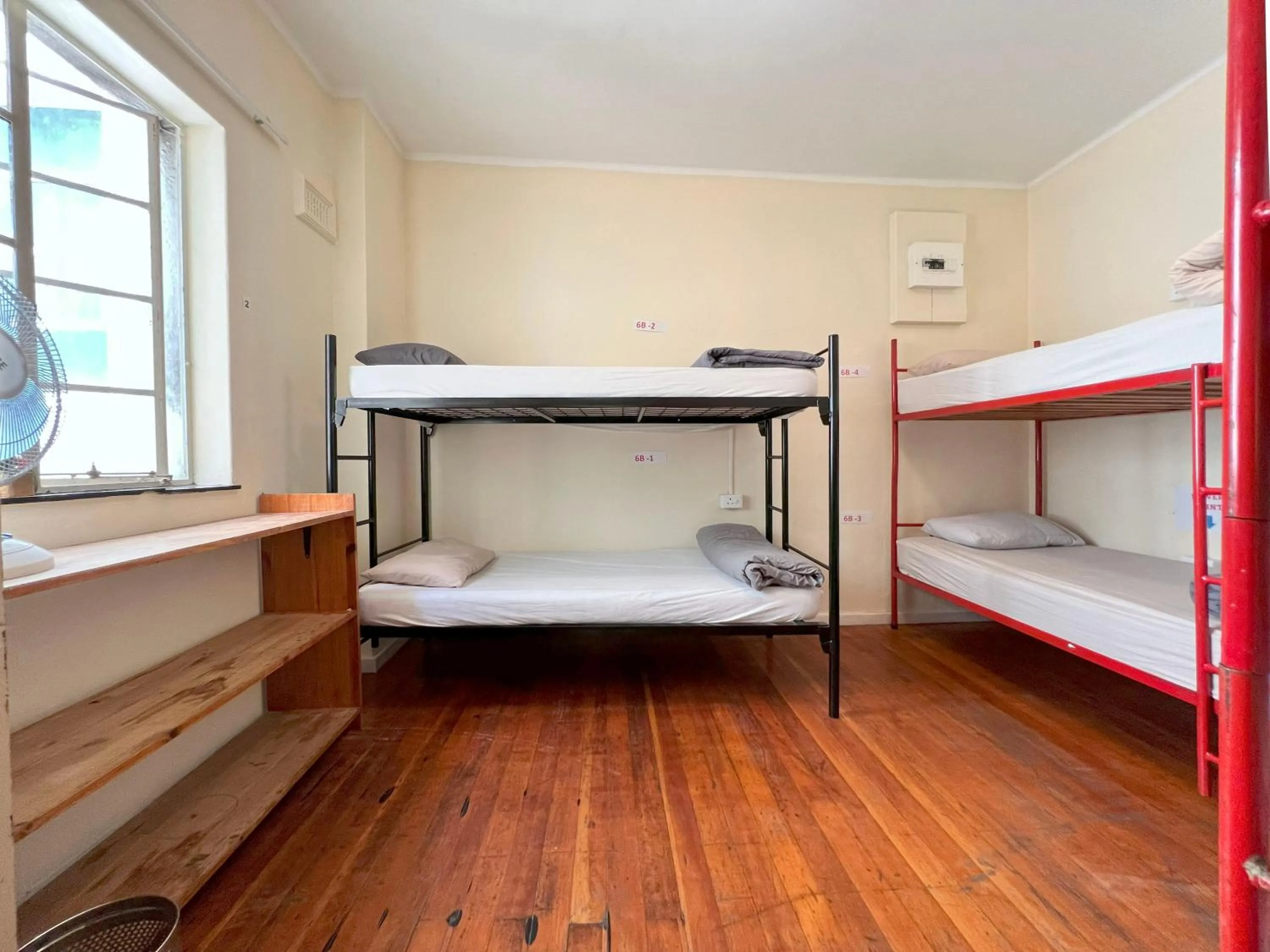 bunk bed, Bed in Long Street Backpackers
