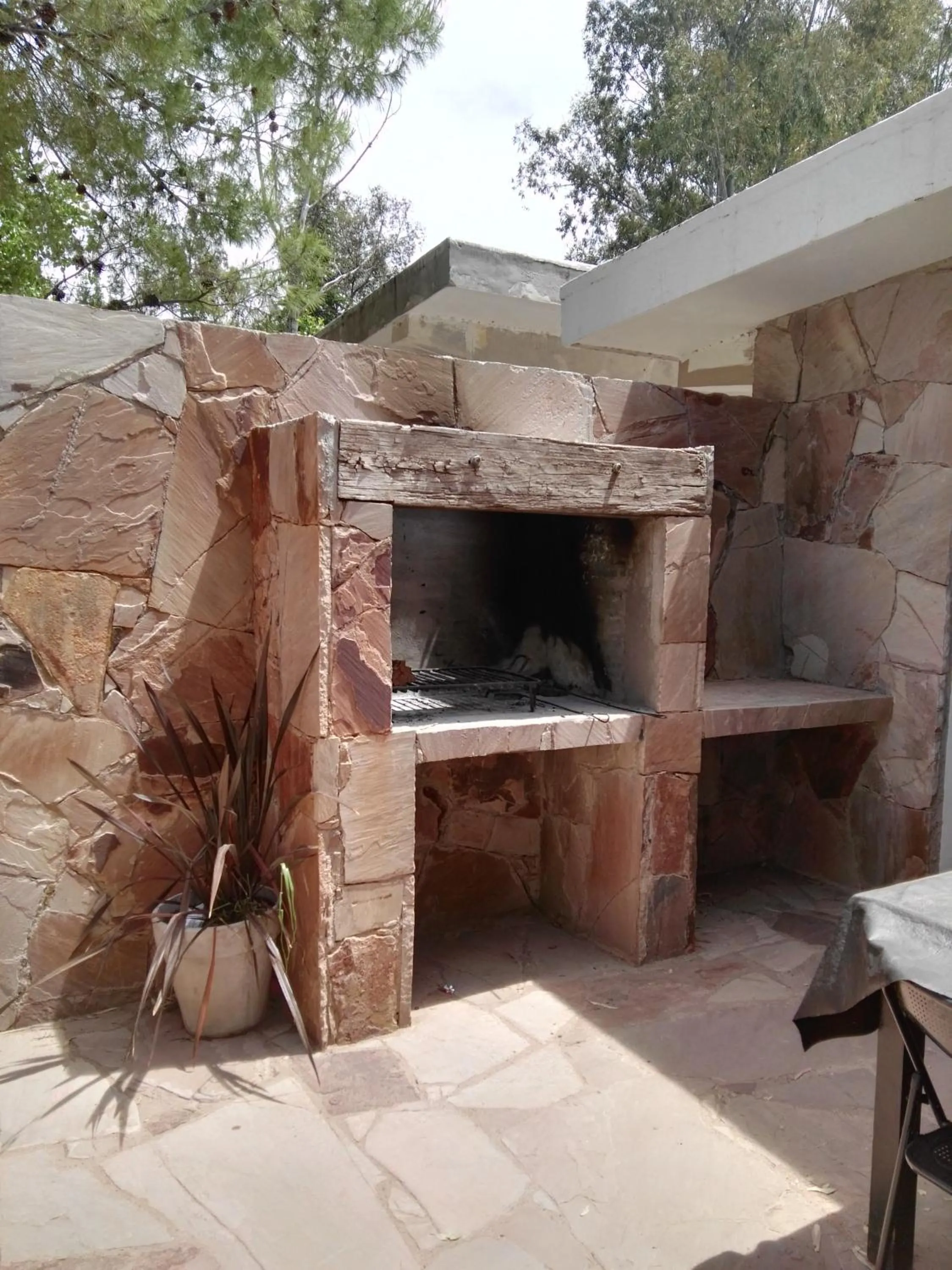 Bosque Divino Cabañas & Suites