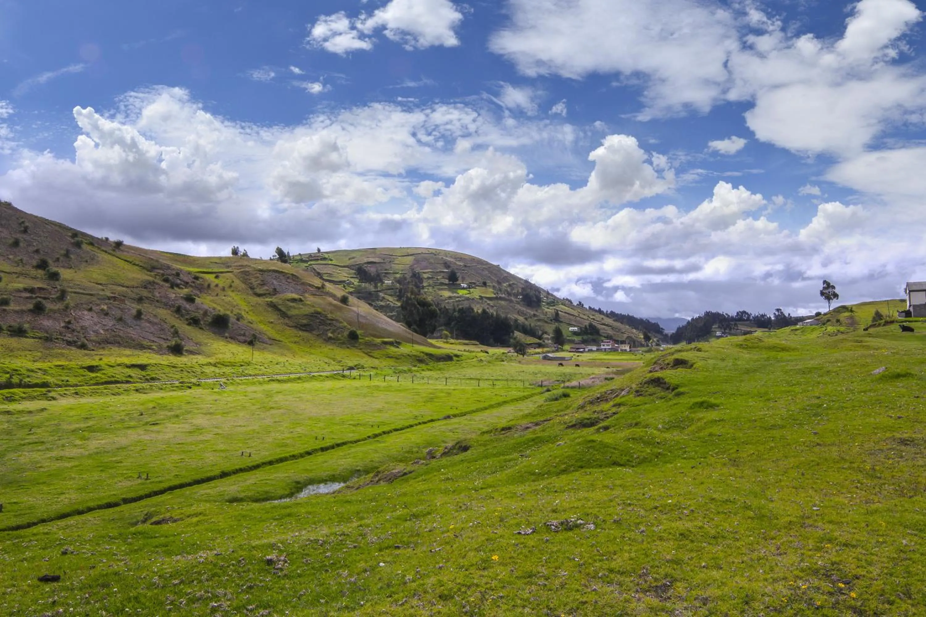 Activities in Inti Sisa Art Guesthouse