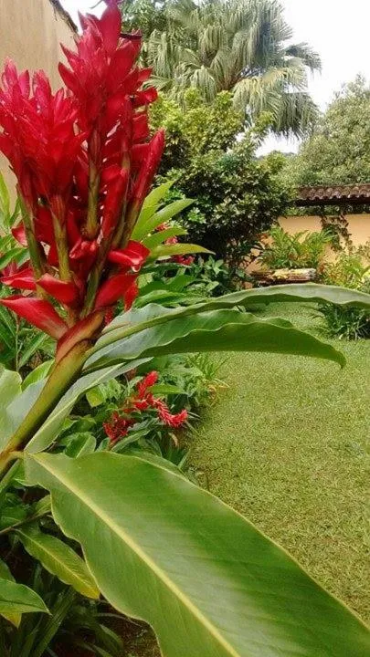 Garden view in Pousada Refugio Port Sahy