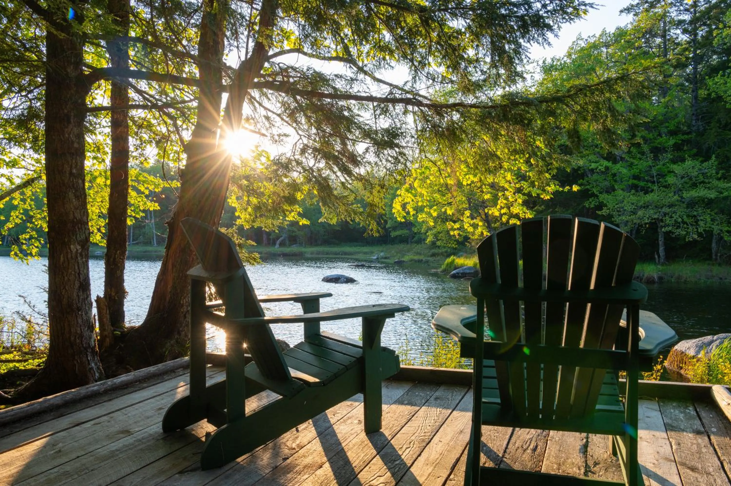 Natural landscape in Mersey River Chalets a nature retreat