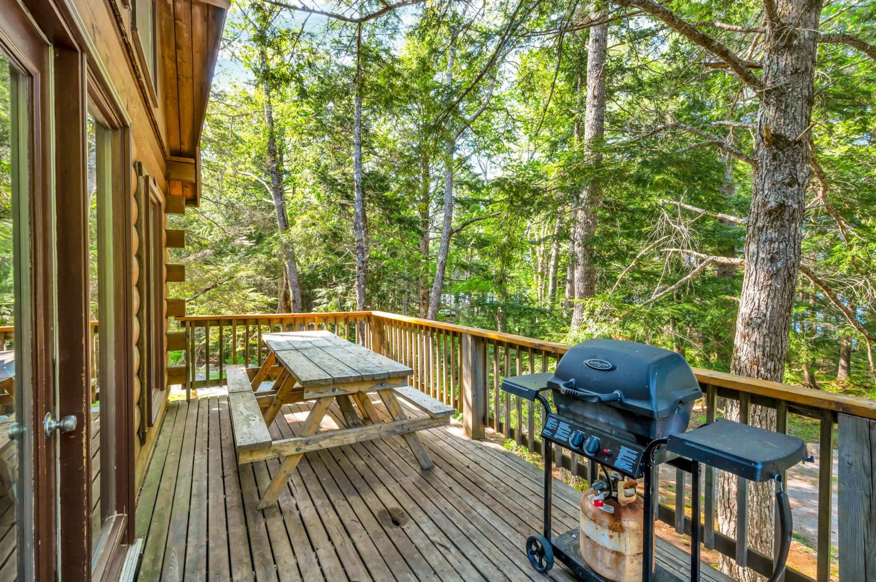Natural landscape in Mersey River Chalets a nature retreat