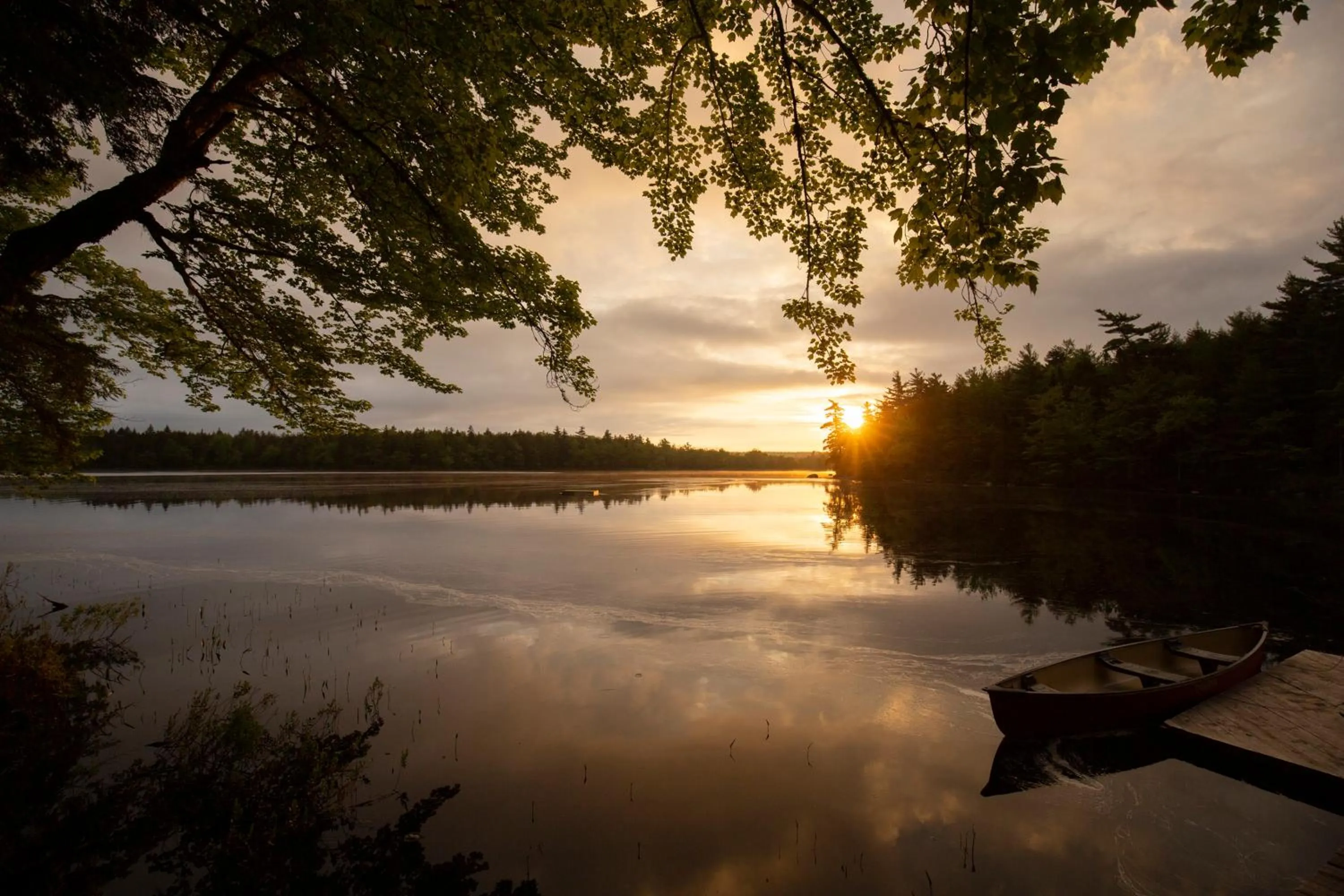 Natural landscape in Mersey River Chalets a nature retreat