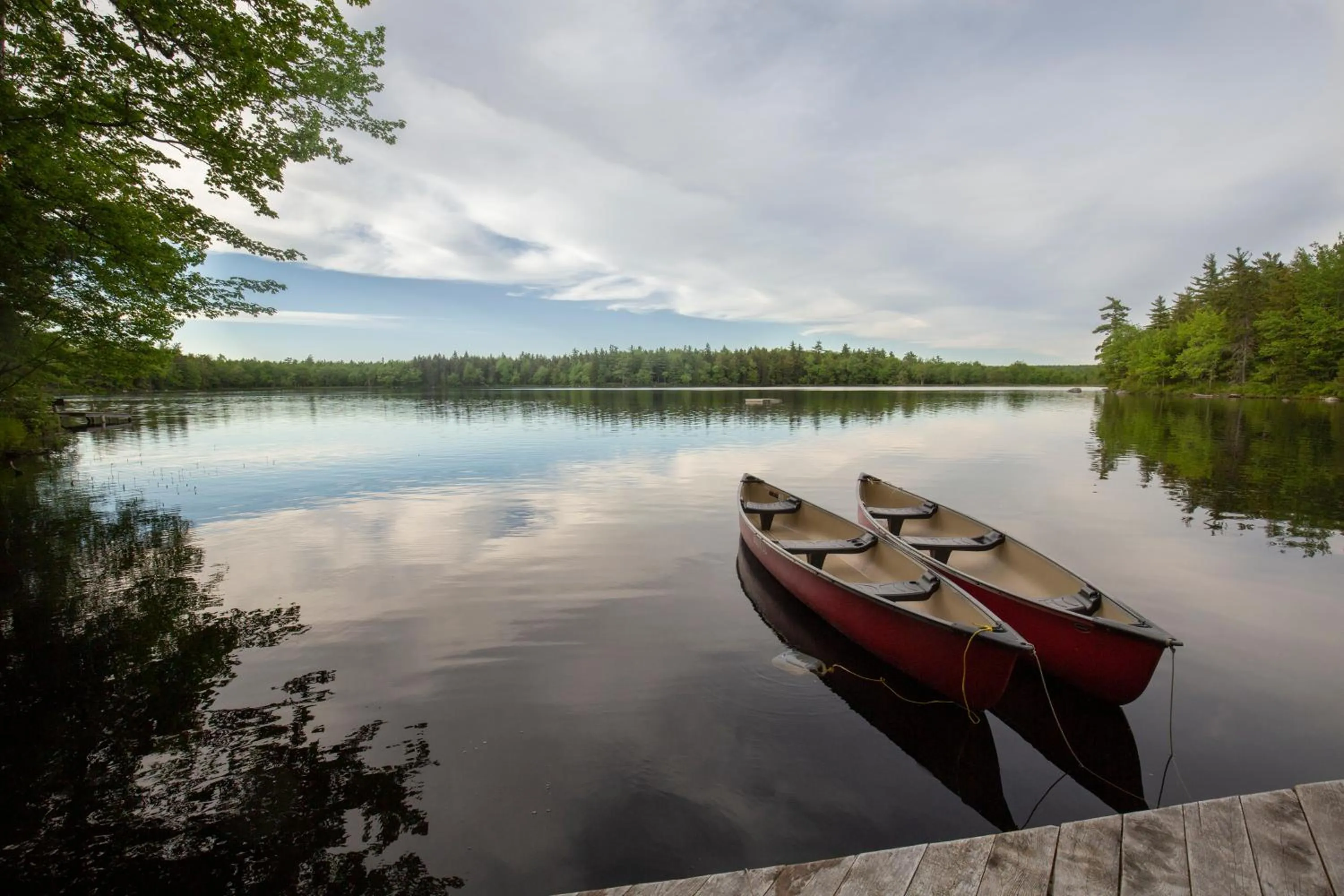 Natural landscape in Mersey River Chalets a nature retreat