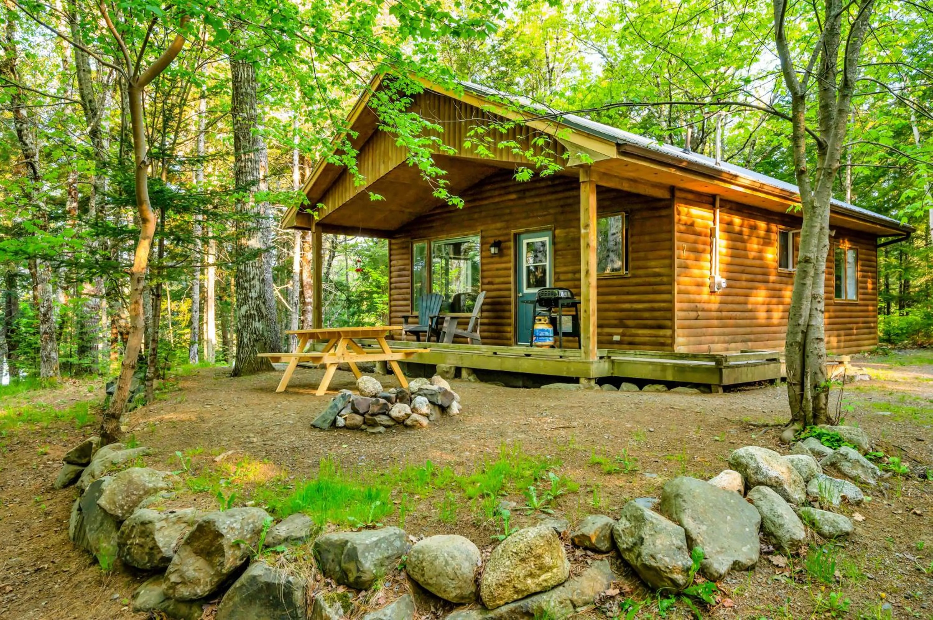 Natural landscape in Mersey River Chalets a nature retreat