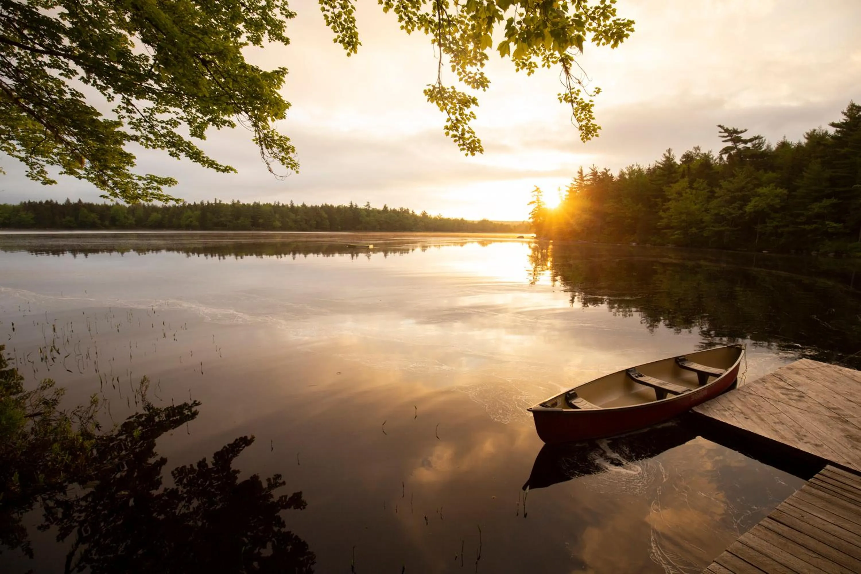 Sunrise in Mersey River Chalets a nature retreat