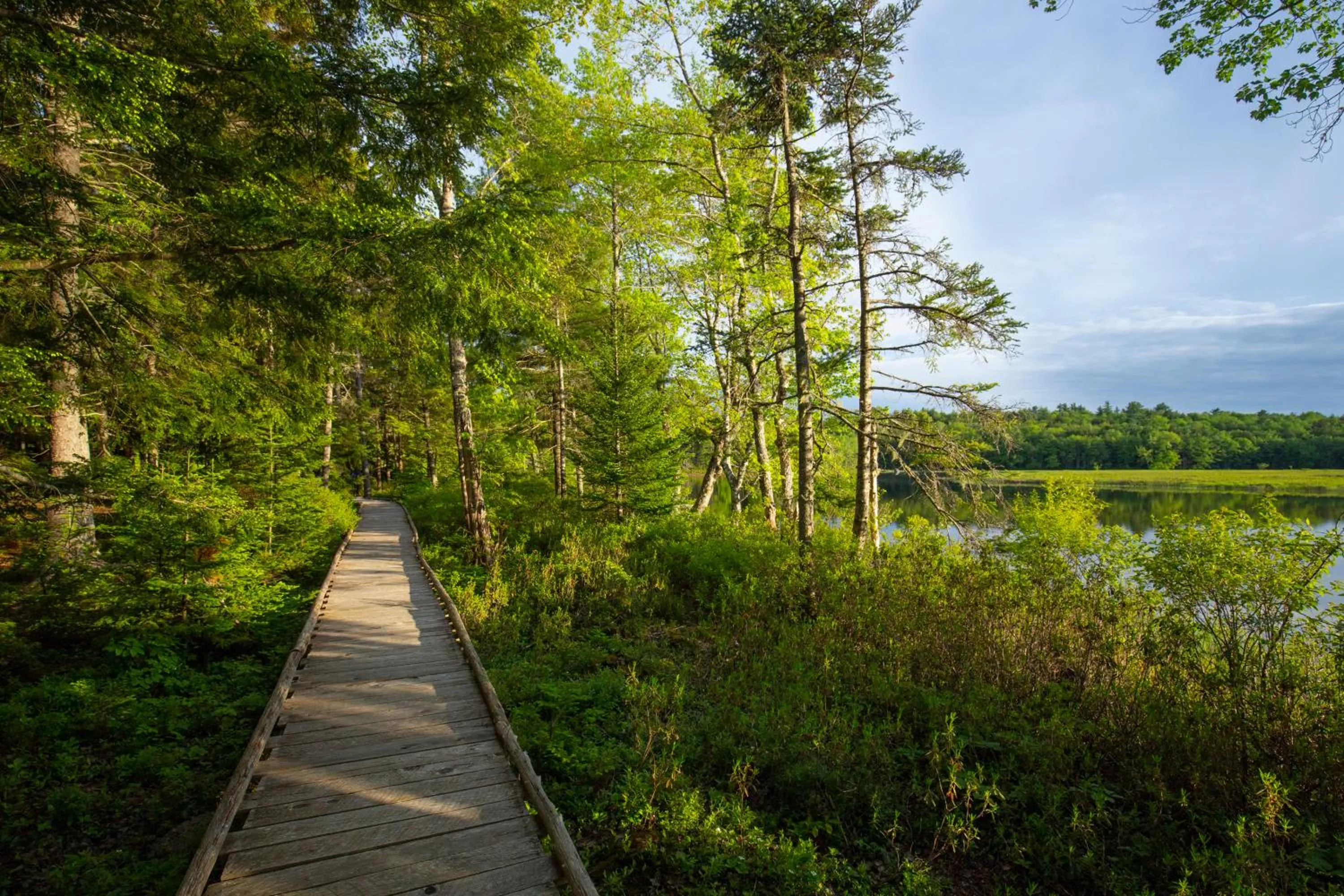 Day in Mersey River Chalets a nature retreat
