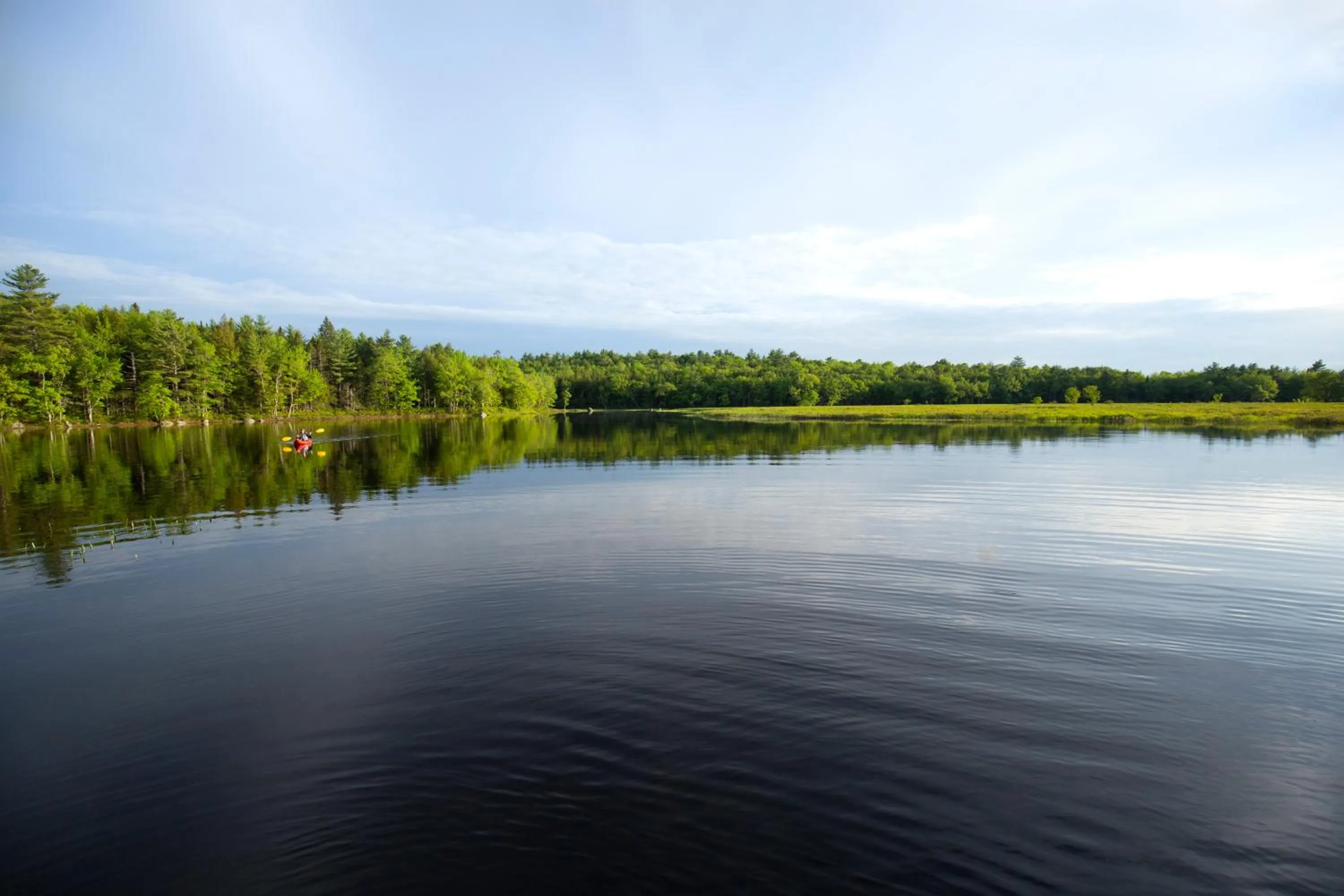 Natural landscape in Mersey River Chalets a nature retreat