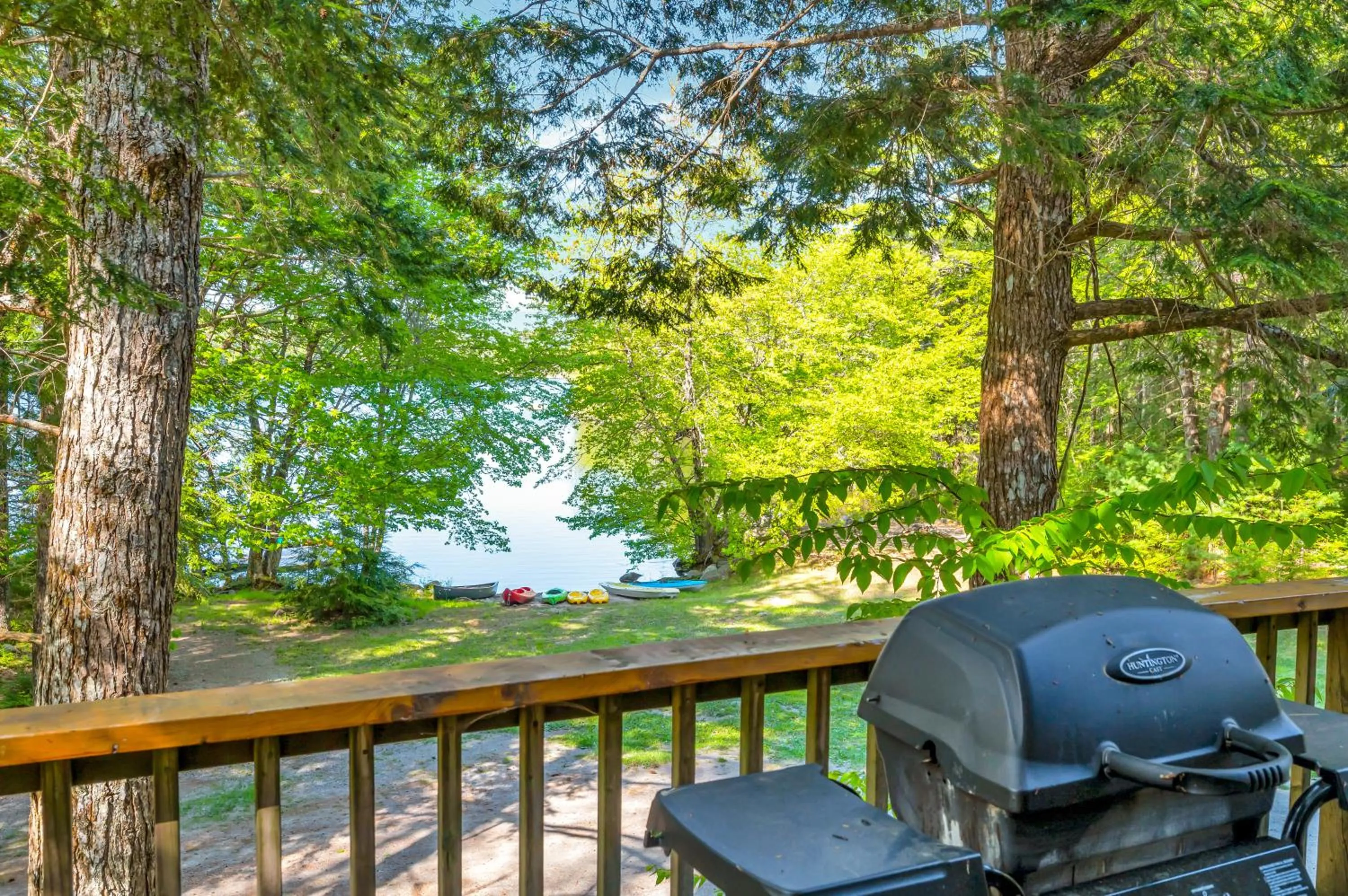 Natural landscape in Mersey River Chalets a nature retreat