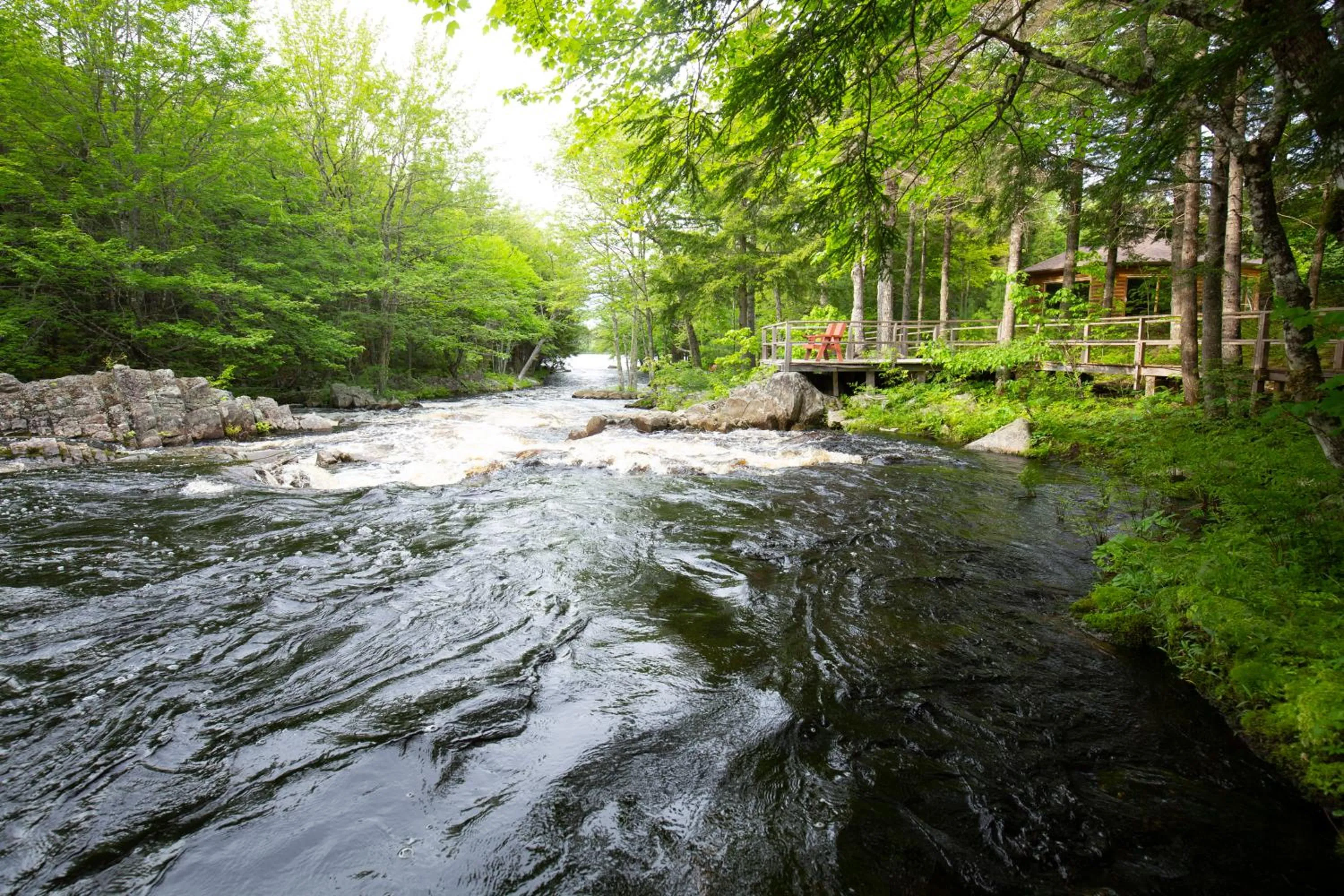 Property building in Mersey River Chalets a nature retreat