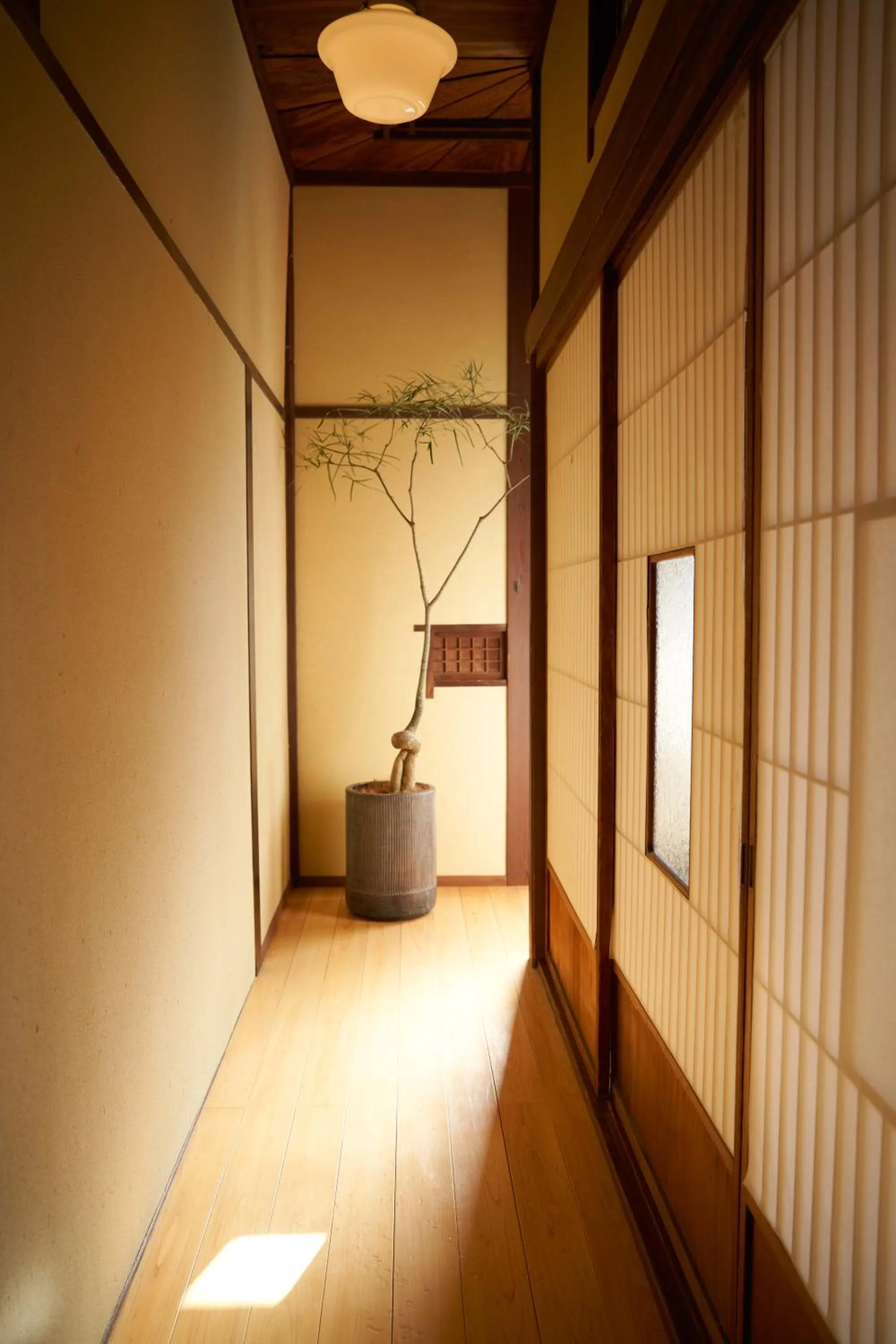 Area and facilities in Ryokan Plum