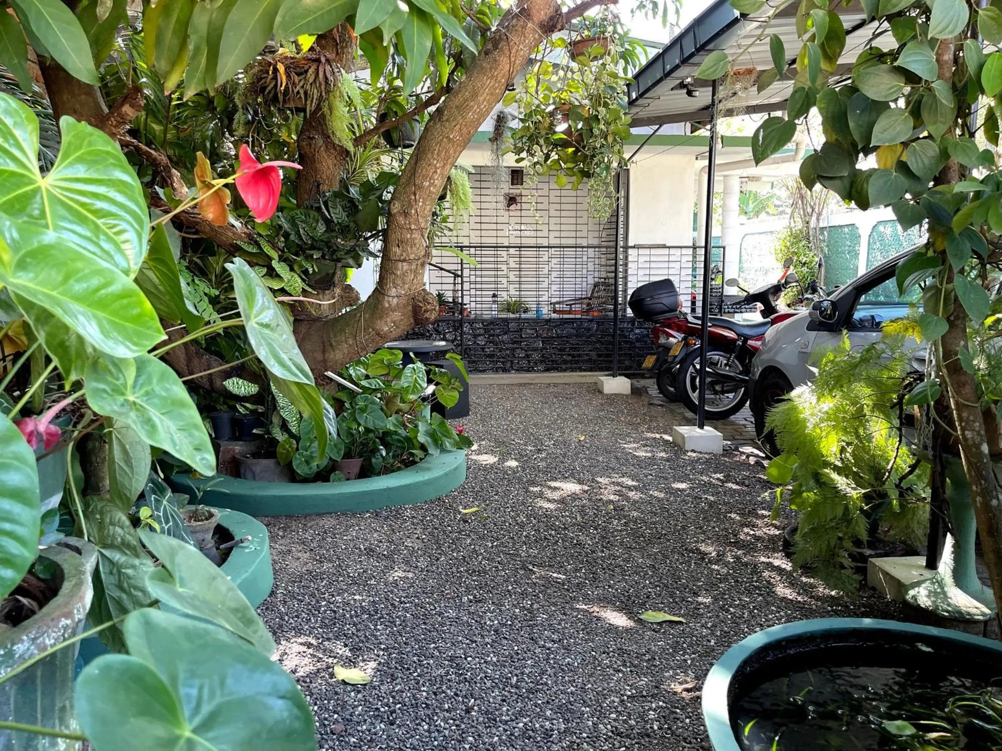 Garden view in Number 01 by Taprobane