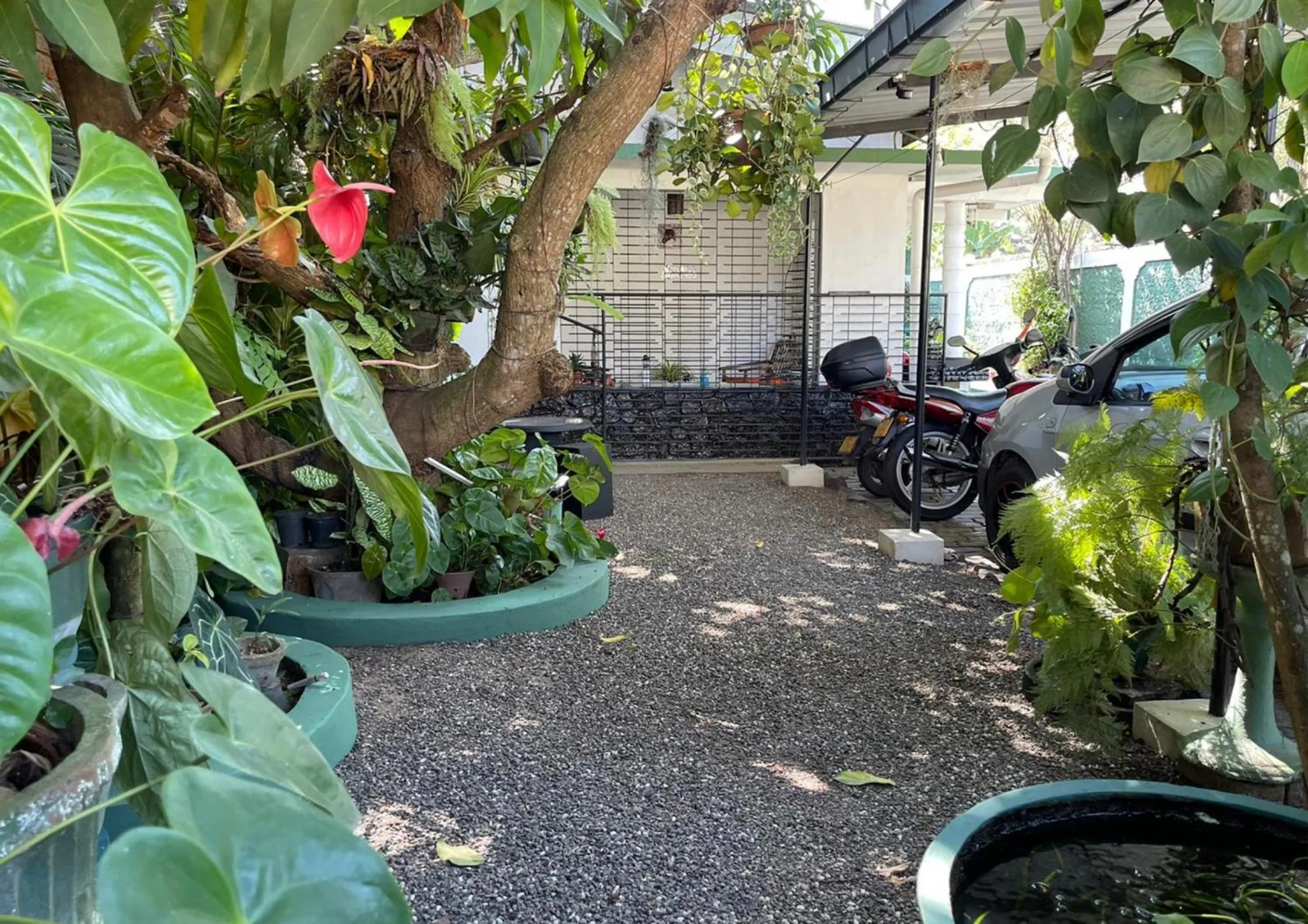 Garden in Number 01 by Taprobane