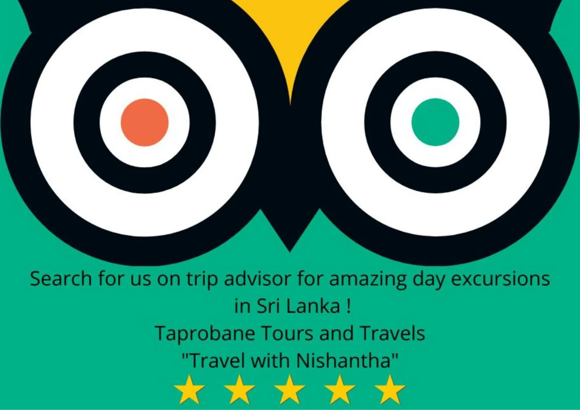 Activities in Number 01 by Taprobane