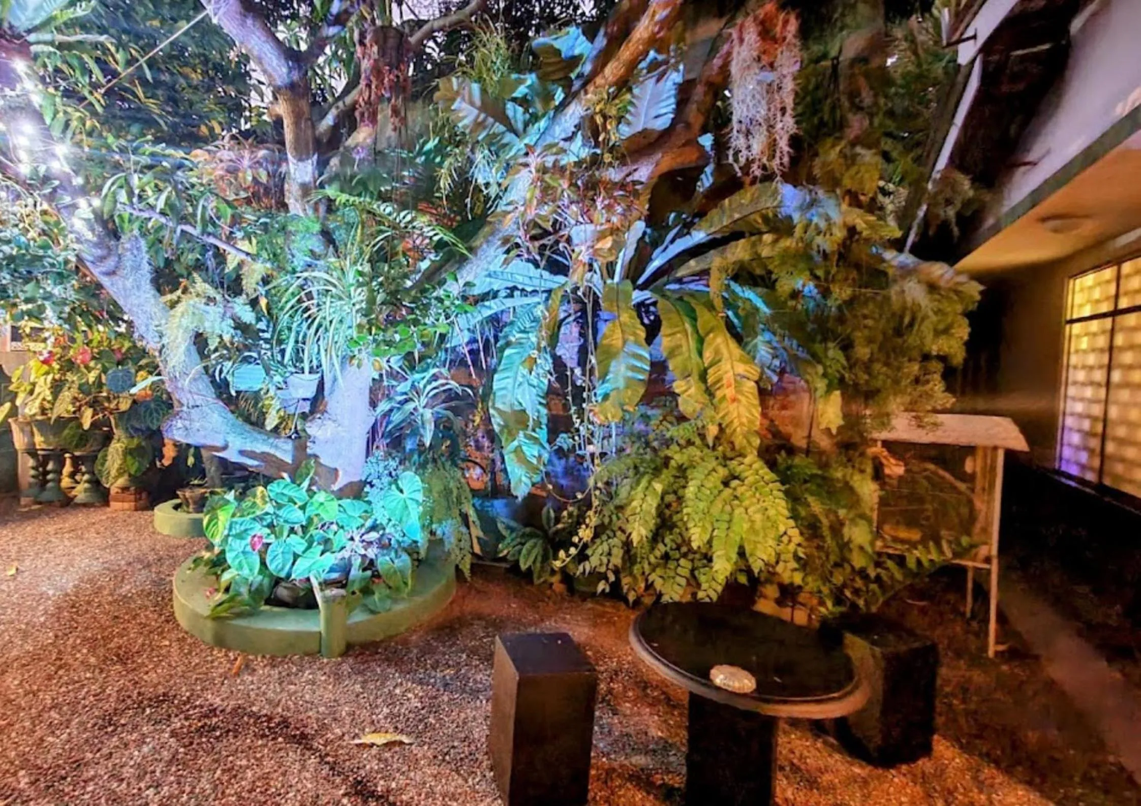 Garden in Number 01 by Taprobane