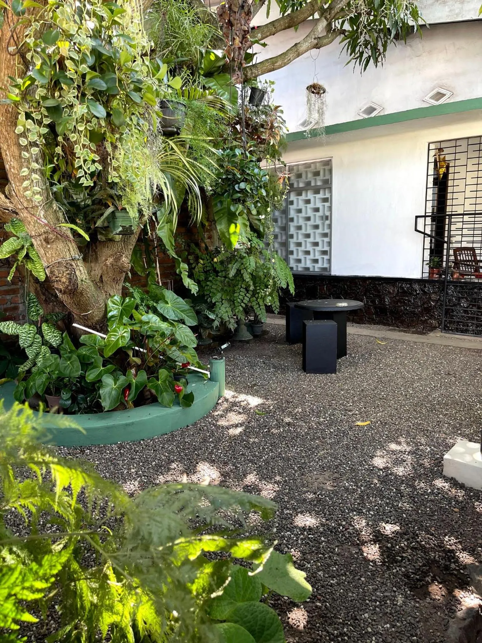 Garden view in Number 01 by Taprobane