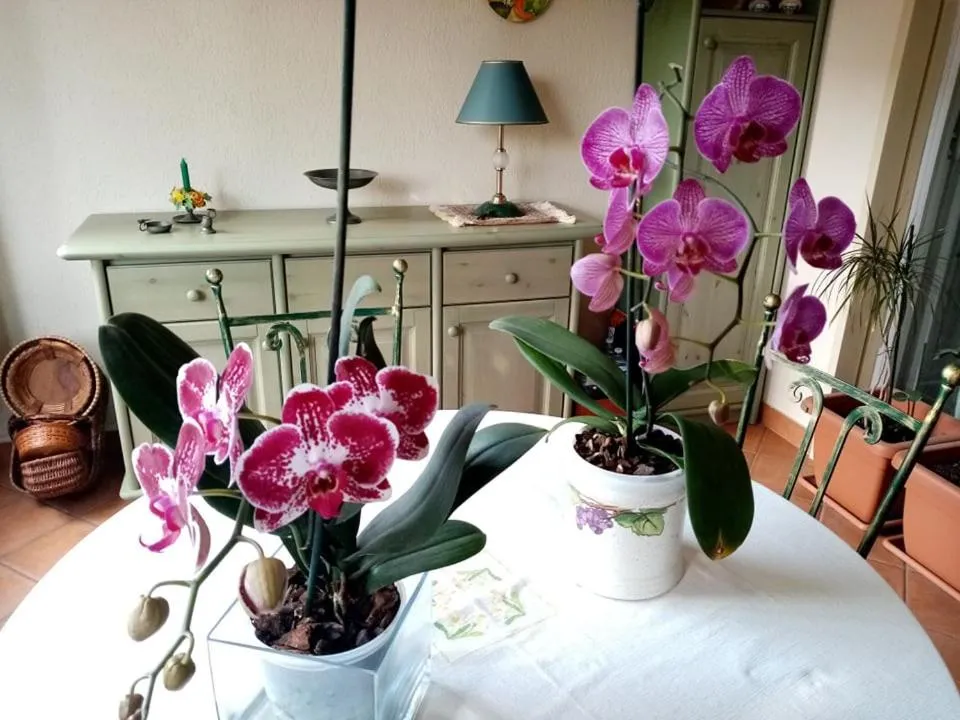 Holiday Maison Villa Arci