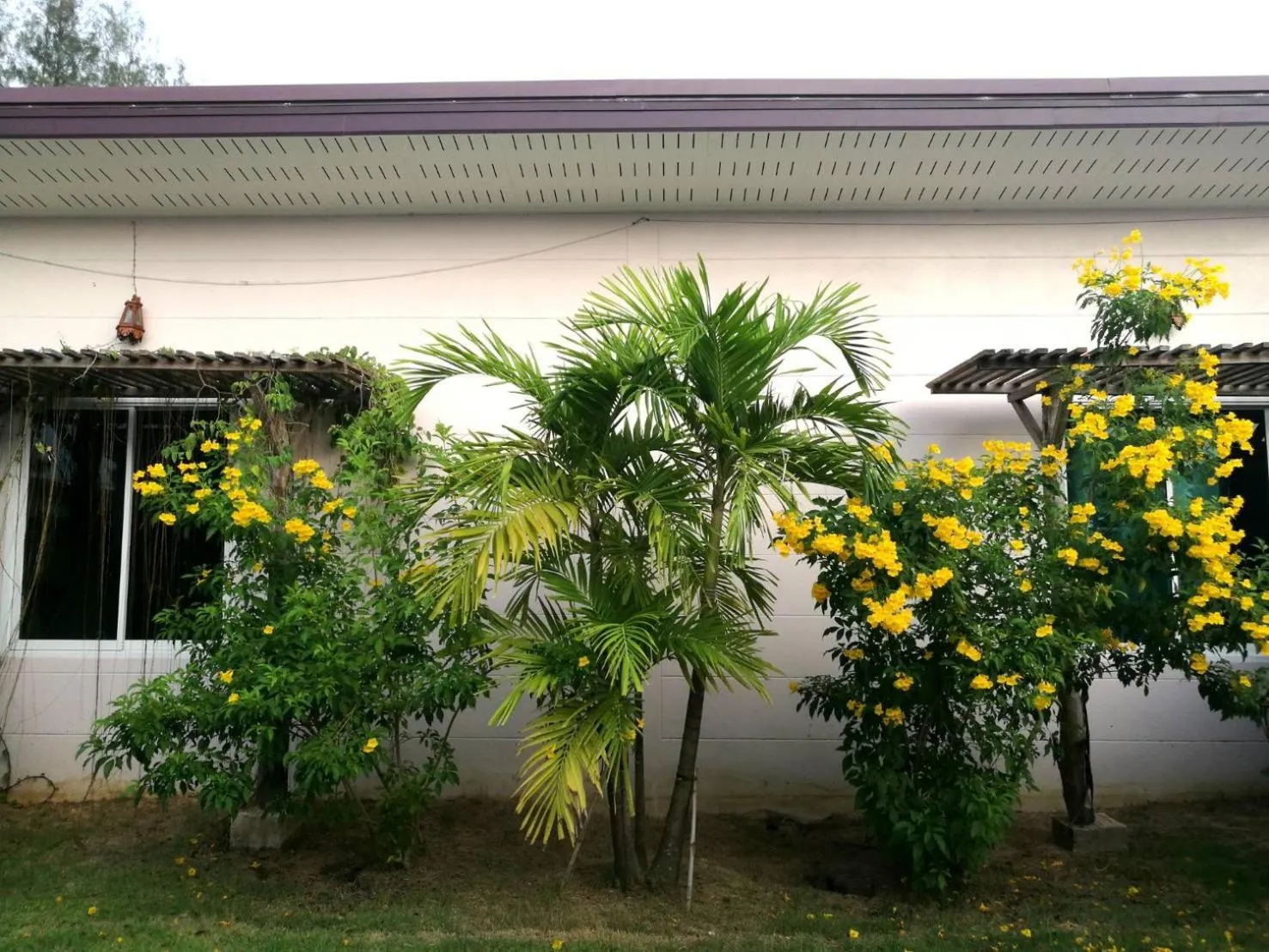 Day in On Green Resort