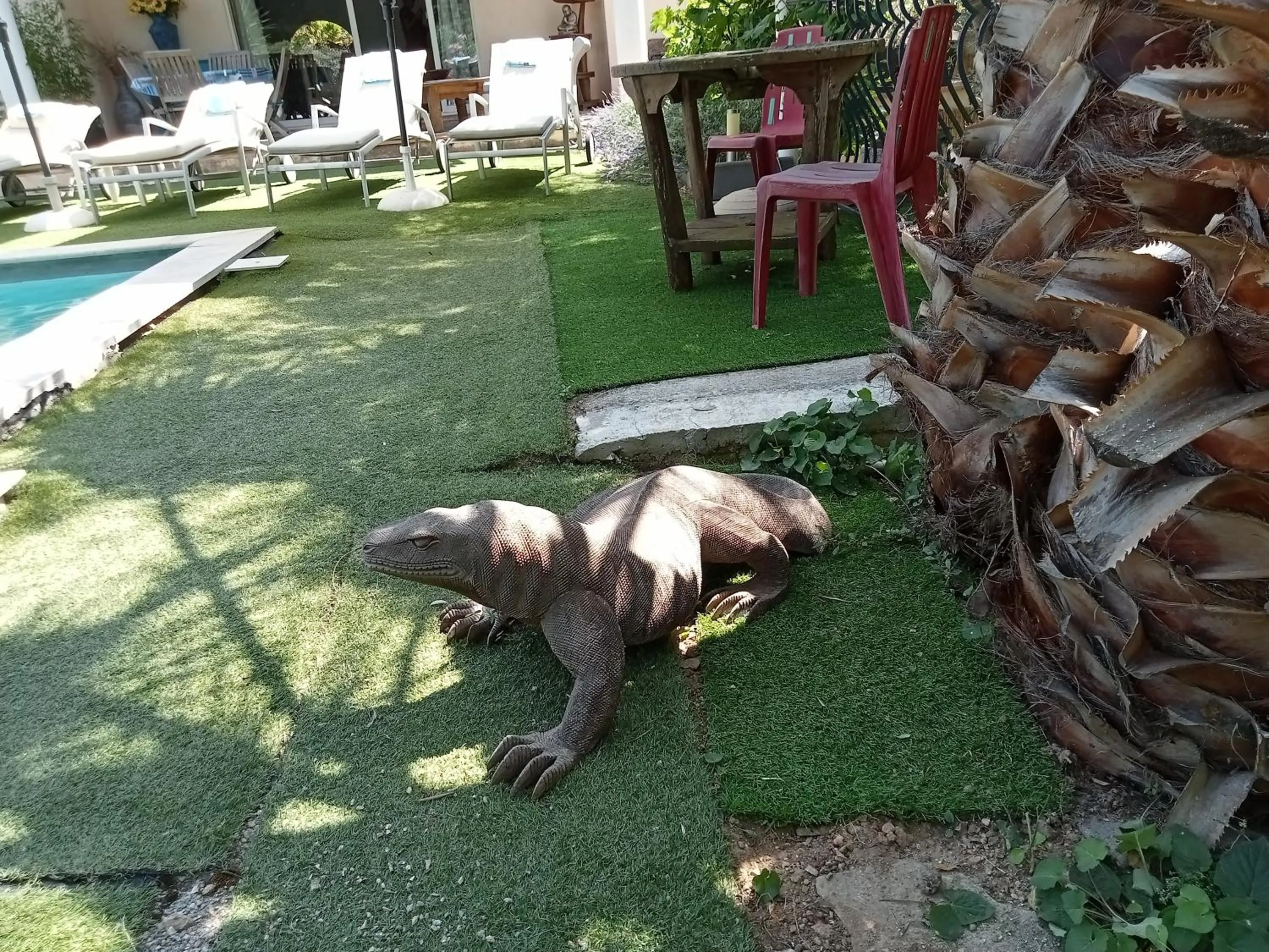 Garden in Villa La Croisette