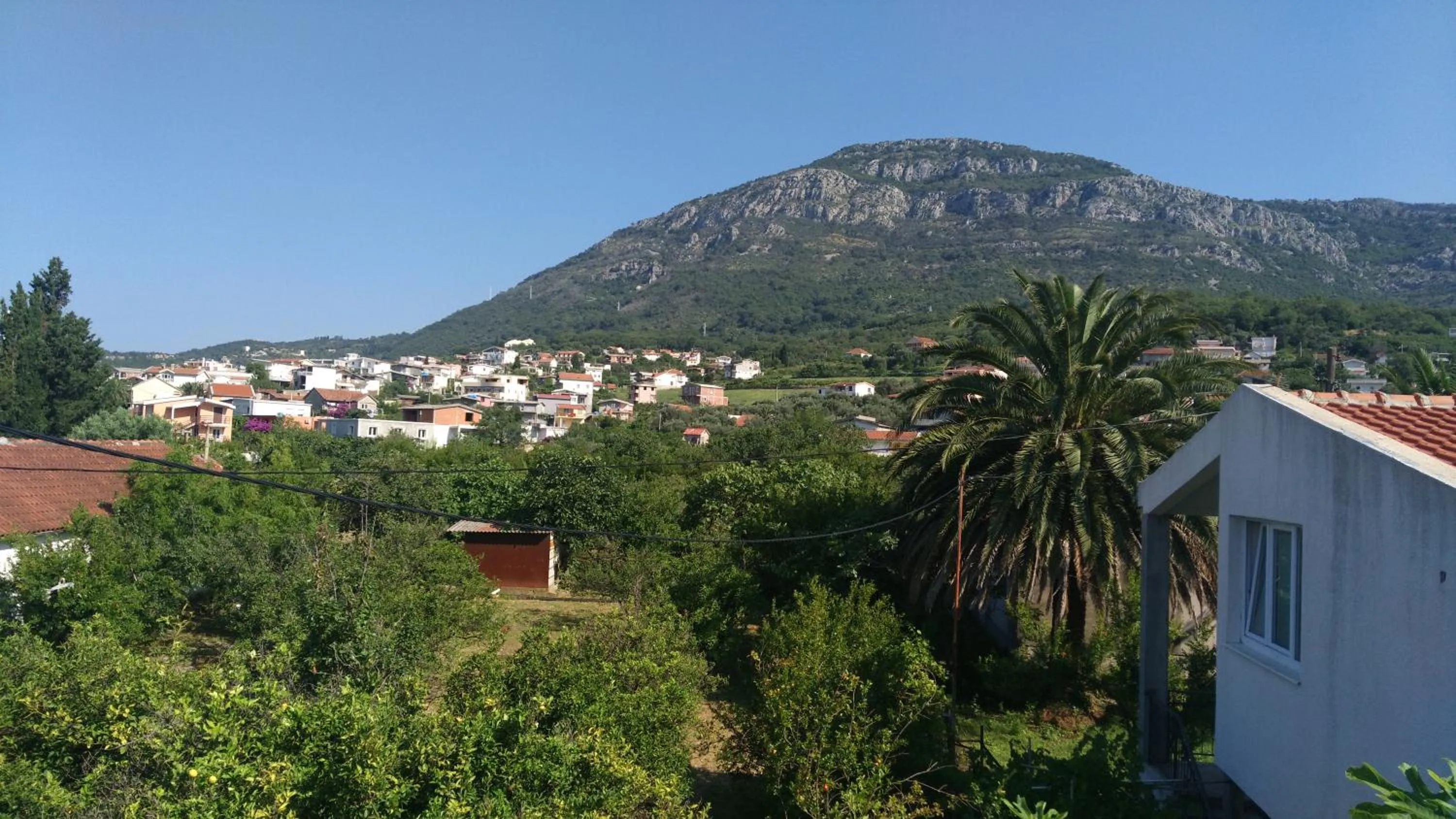 Garden view in Apartments Lora