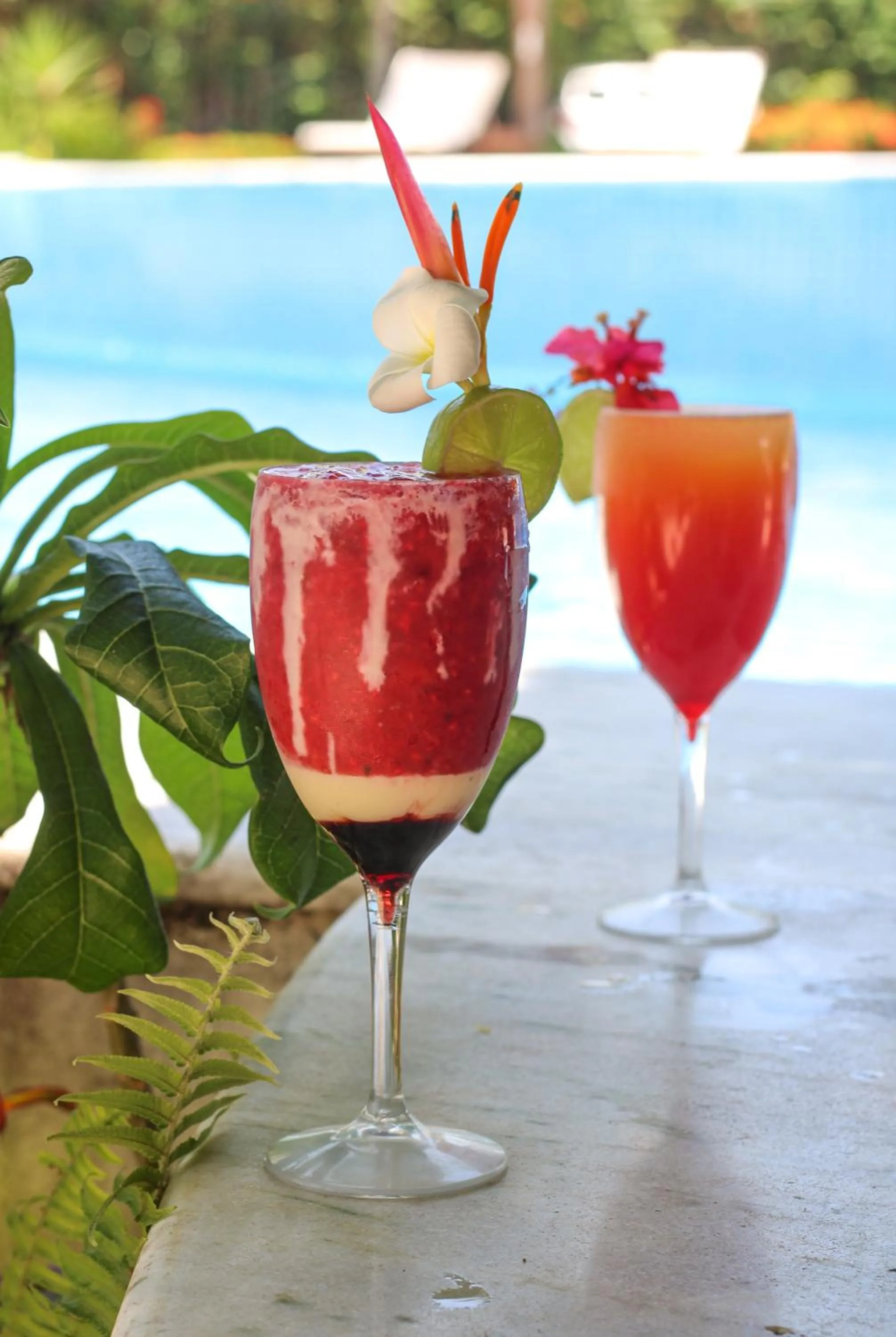 Alcoholic drinks in Hotel Tibau Lagoa