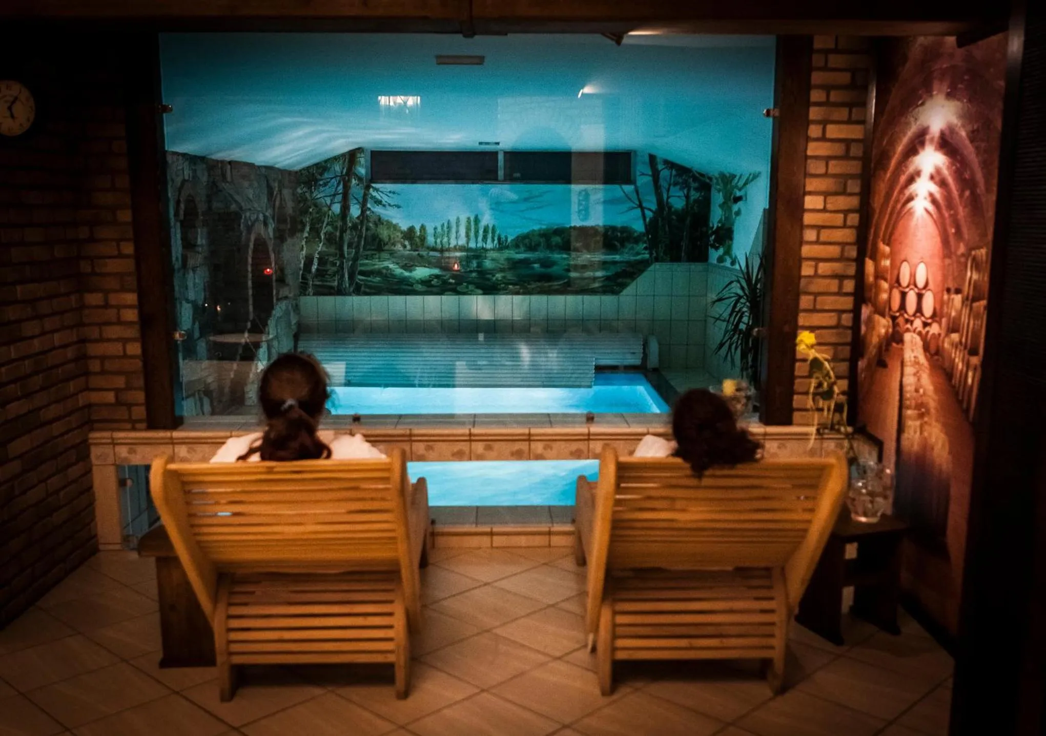 Swimming pool in Poziomka