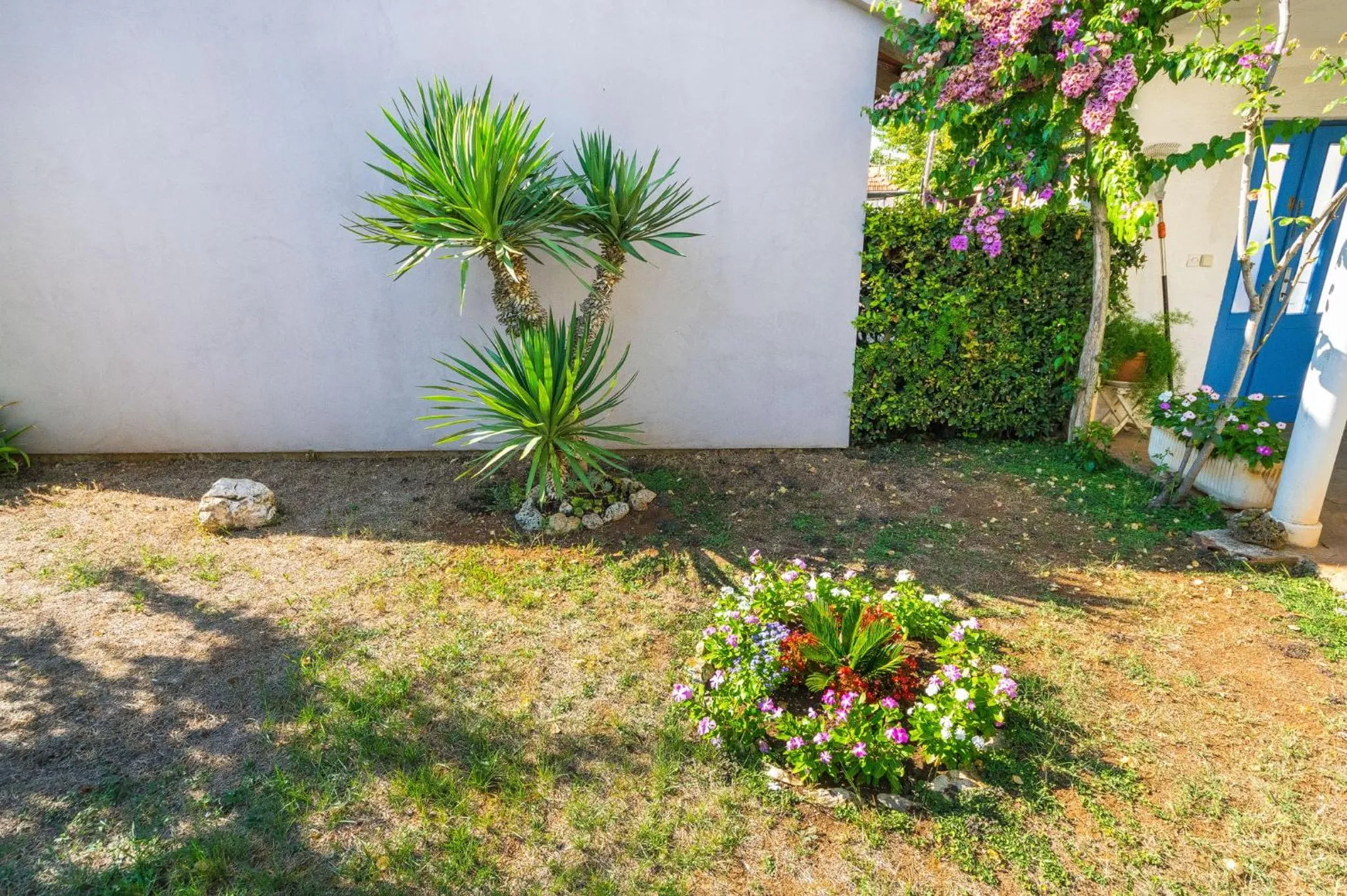 Area and facilities in Apartment Marul