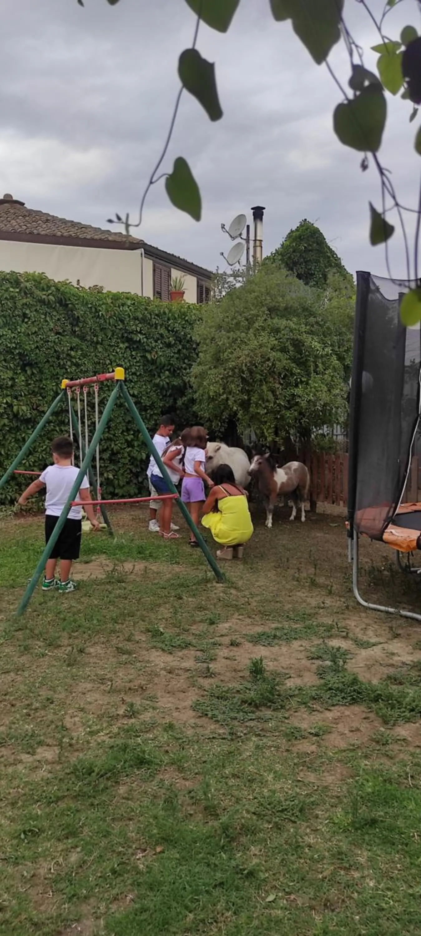 View (from property/room) in Oasi del Lago