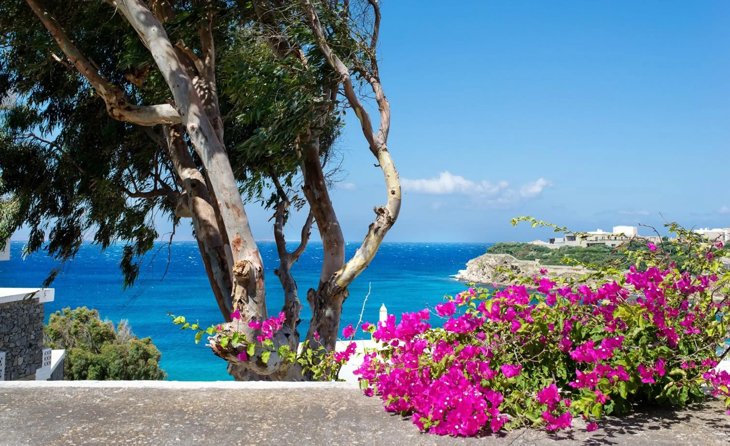 Alkistis Beach Hotel - Designed for Adults Alkistis Beach Hotel - Designed for Adults