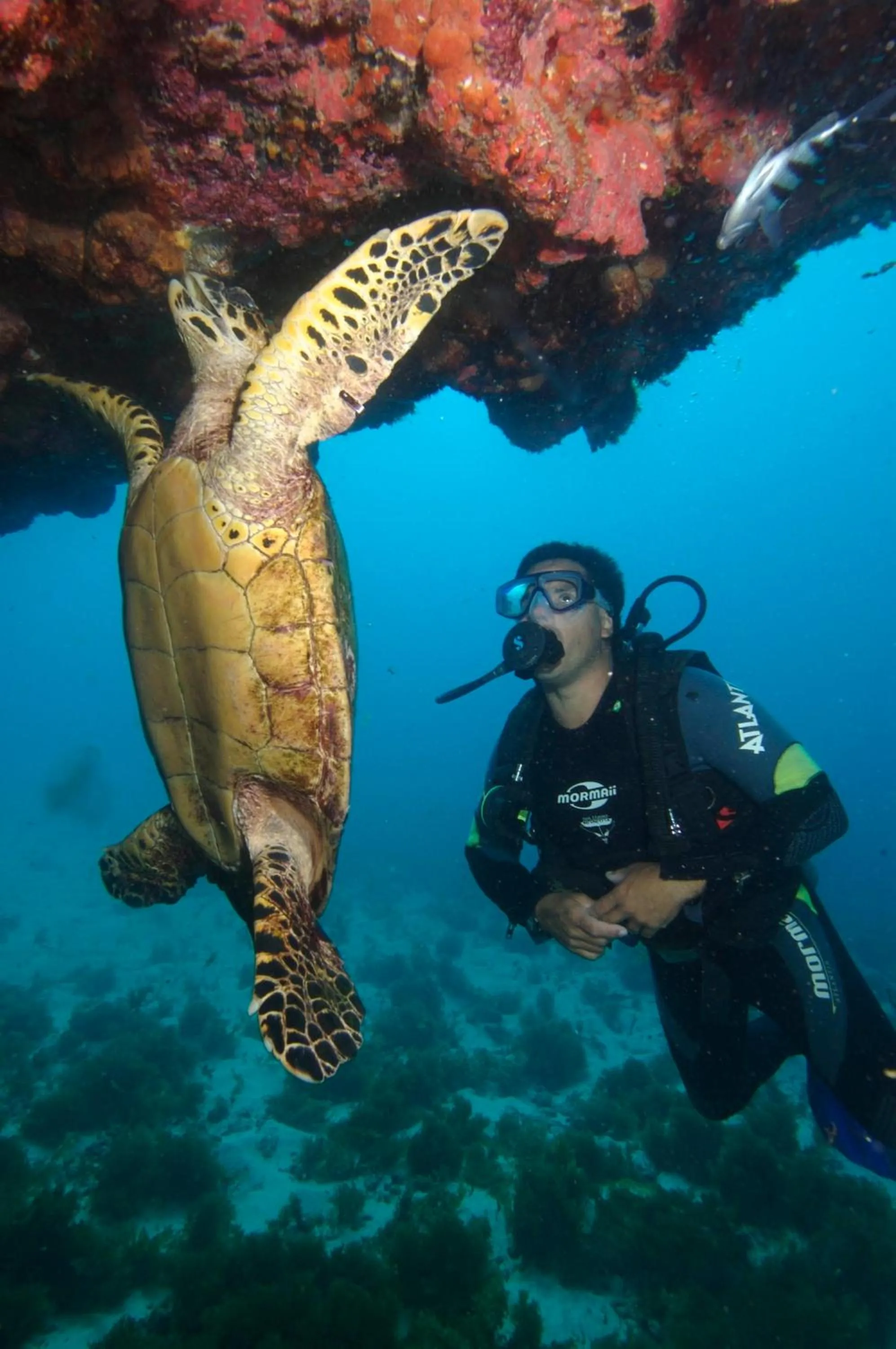 Diving in Pousada Boldró Home