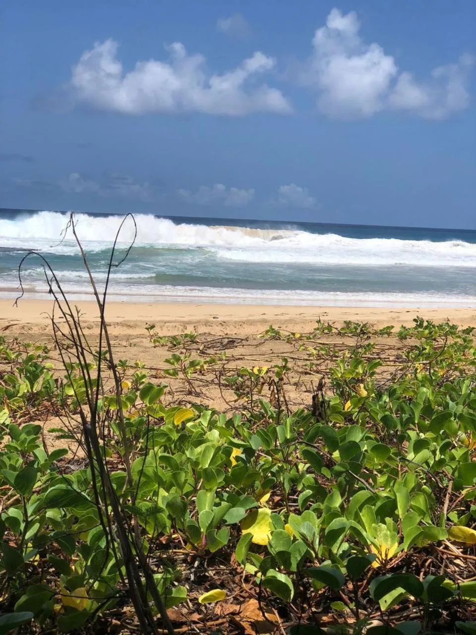 Beach in Pousada Boldró Home